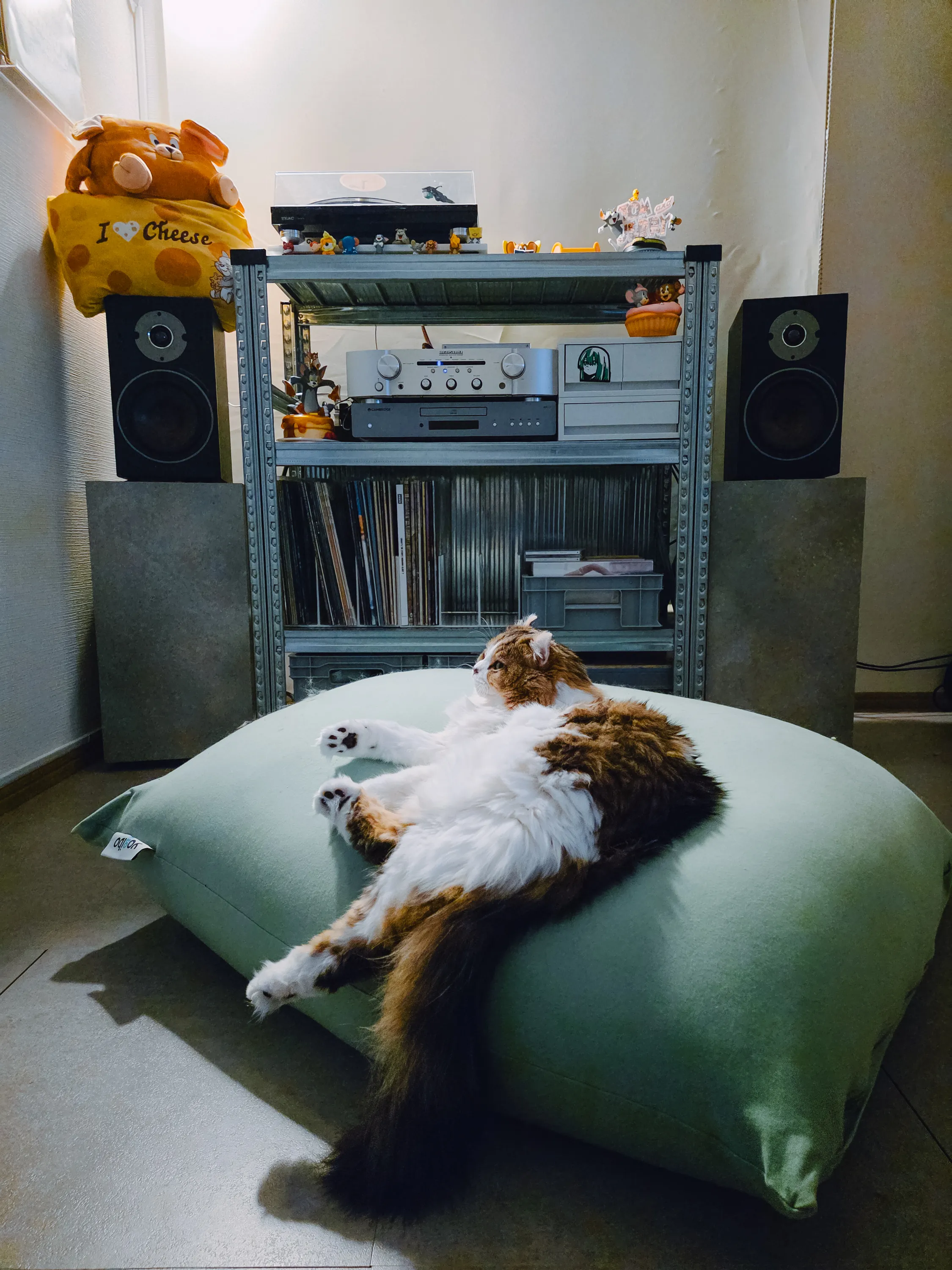2026 — 01 — 20に撮影したあおの写真