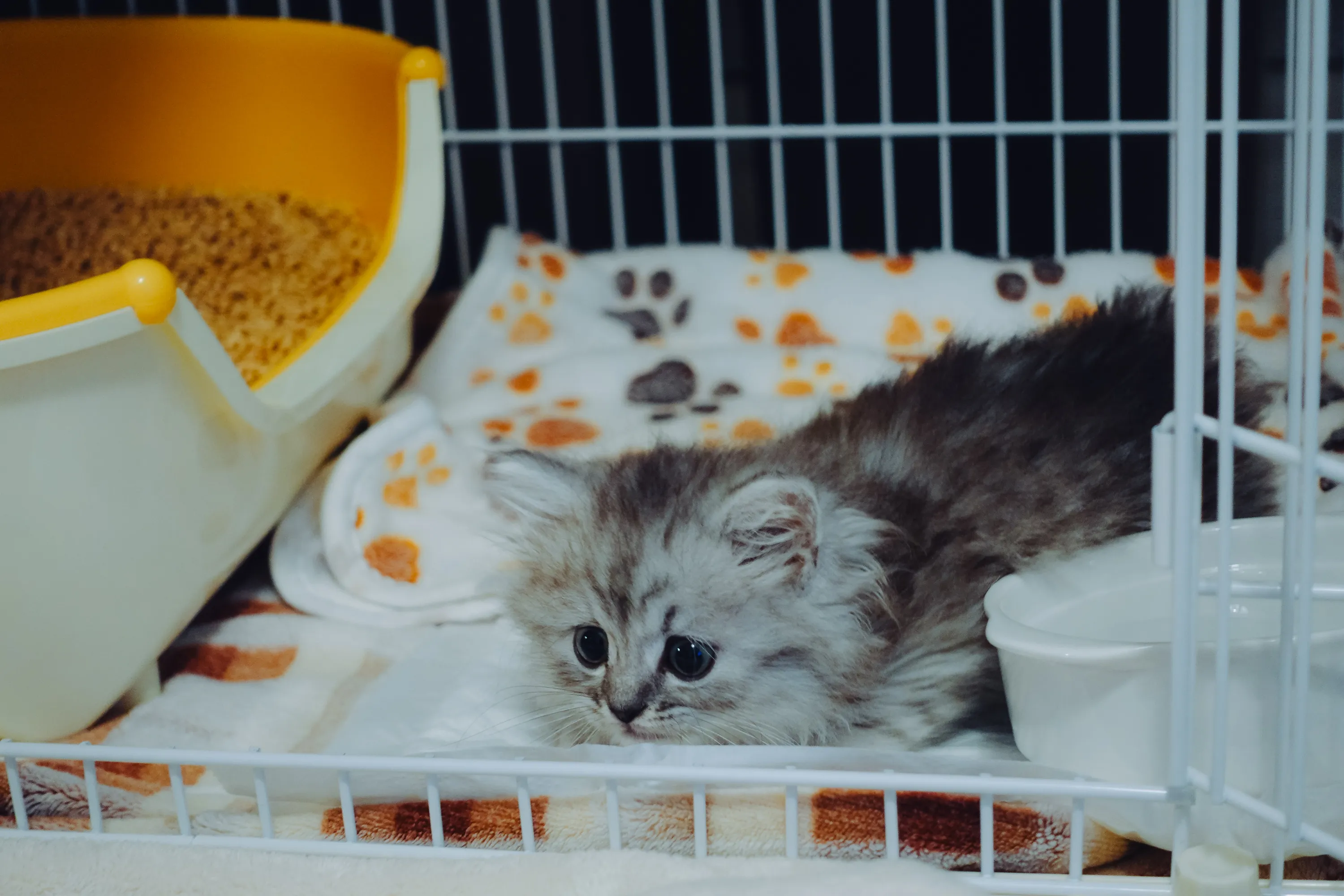2021 — 01 — 30に撮影したうみの写真