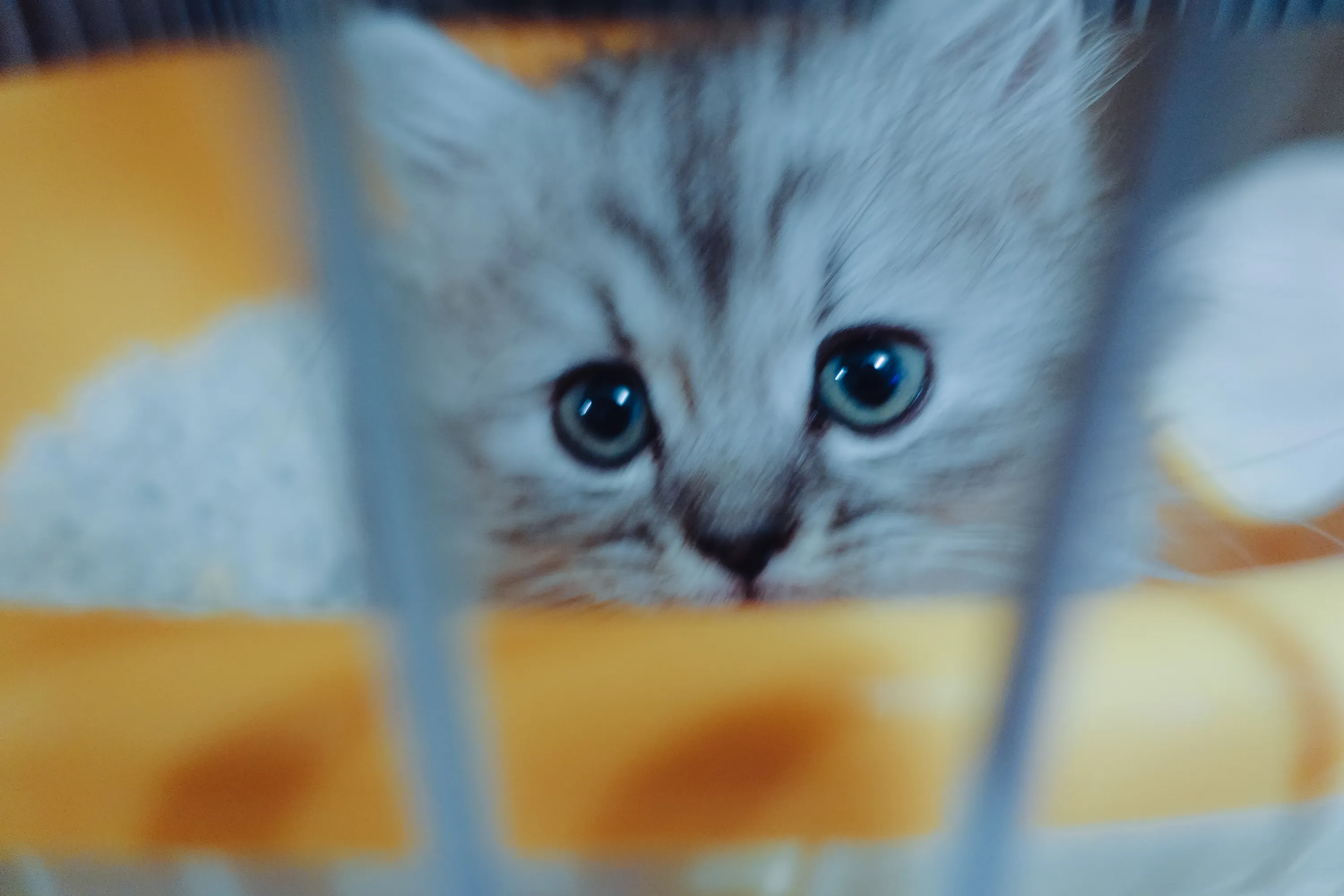 2021 — 02 — 01に撮影したうみの写真