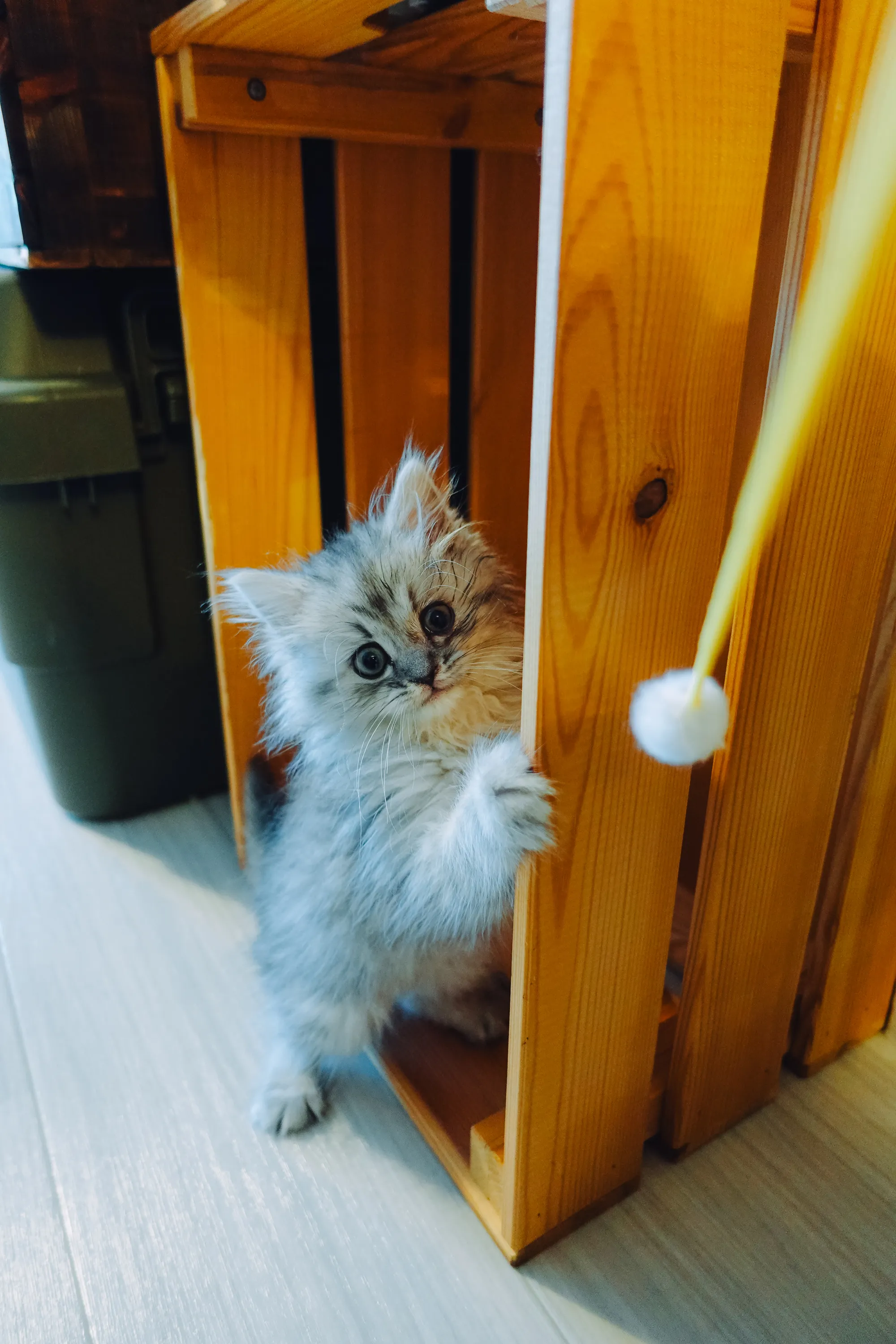 2021 — 02 — 09に撮影したうみとあおの写真
