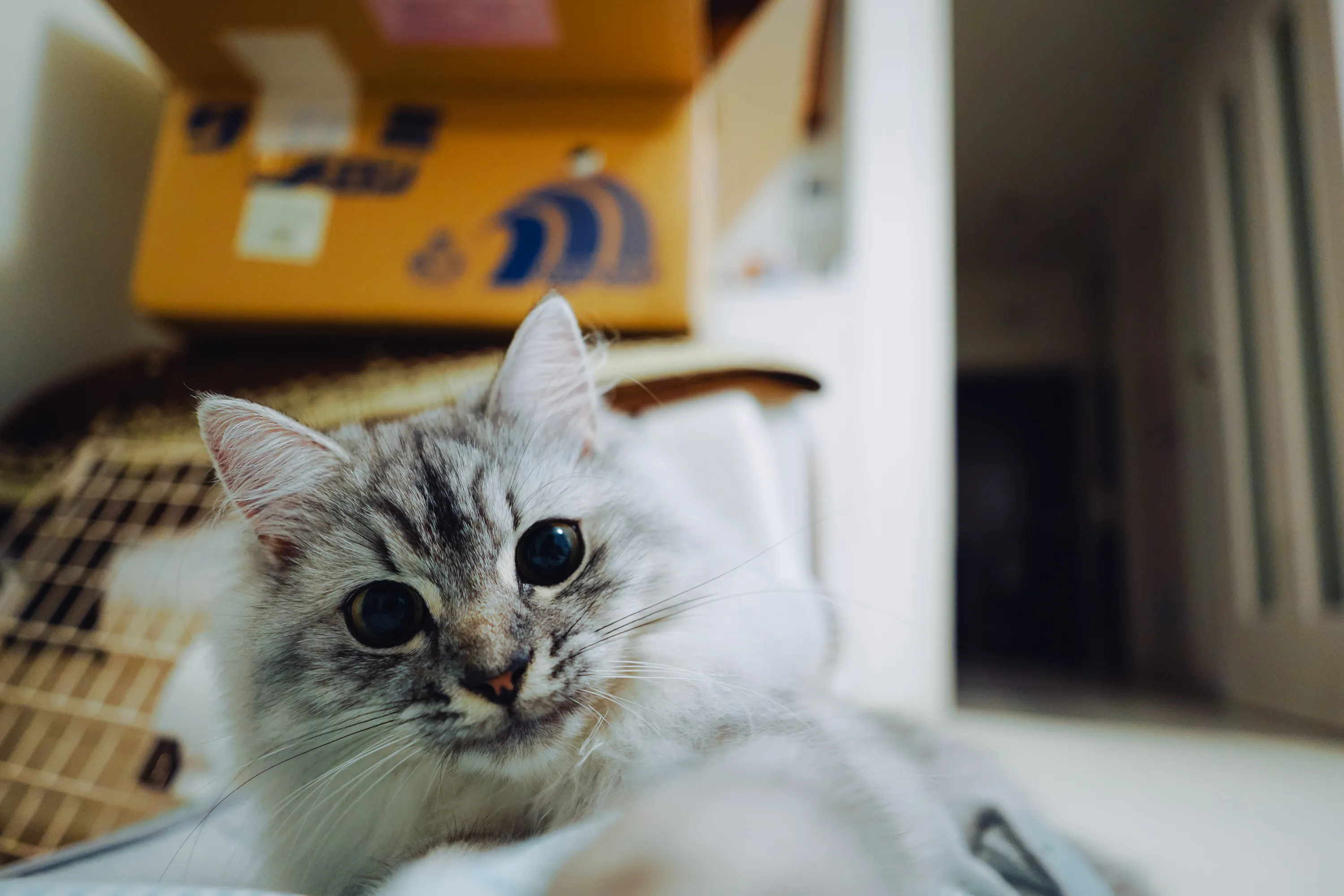 2021 — 08 — 17に撮影したうみの写真