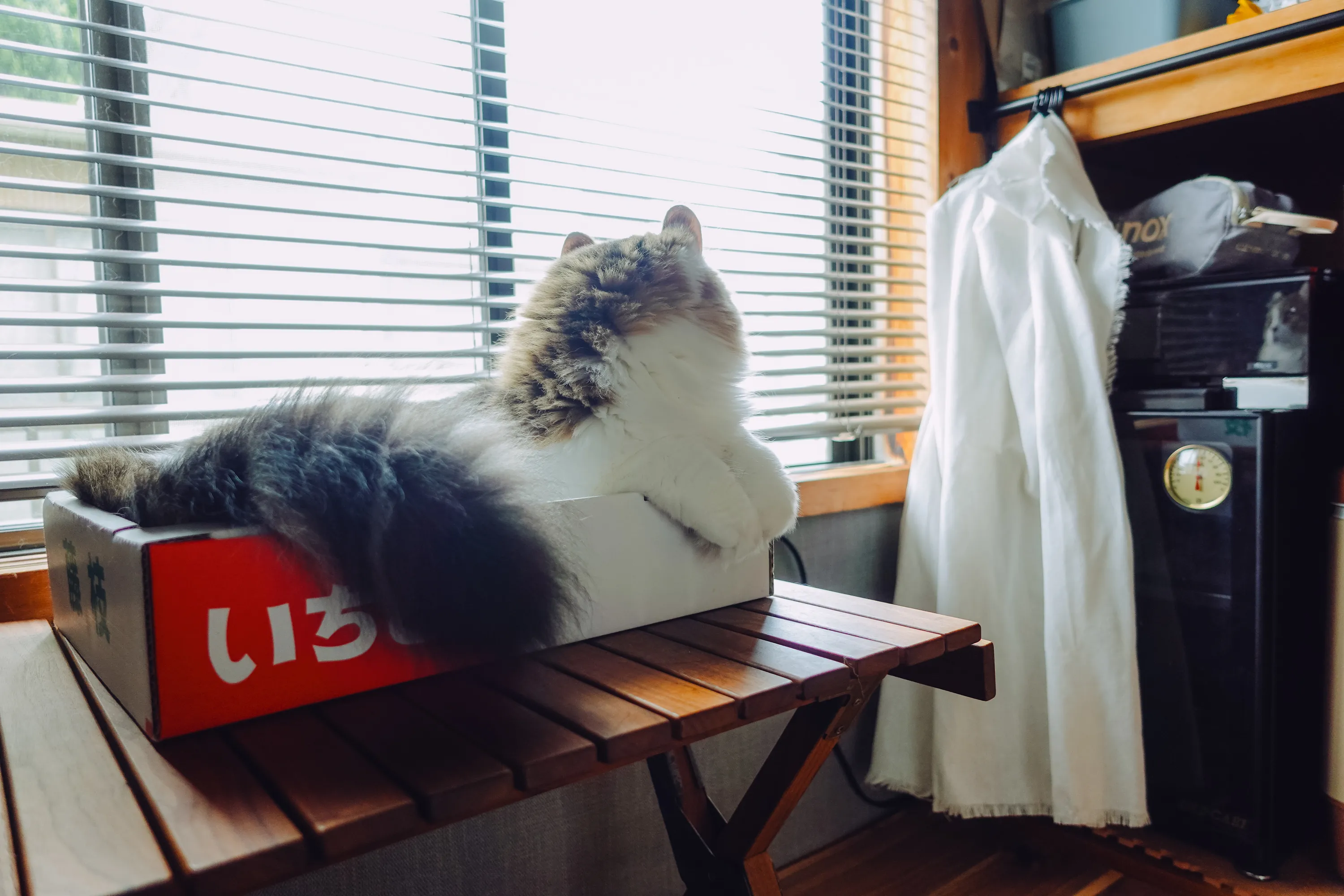 2022 — 09 — 28に撮影したうみの写真