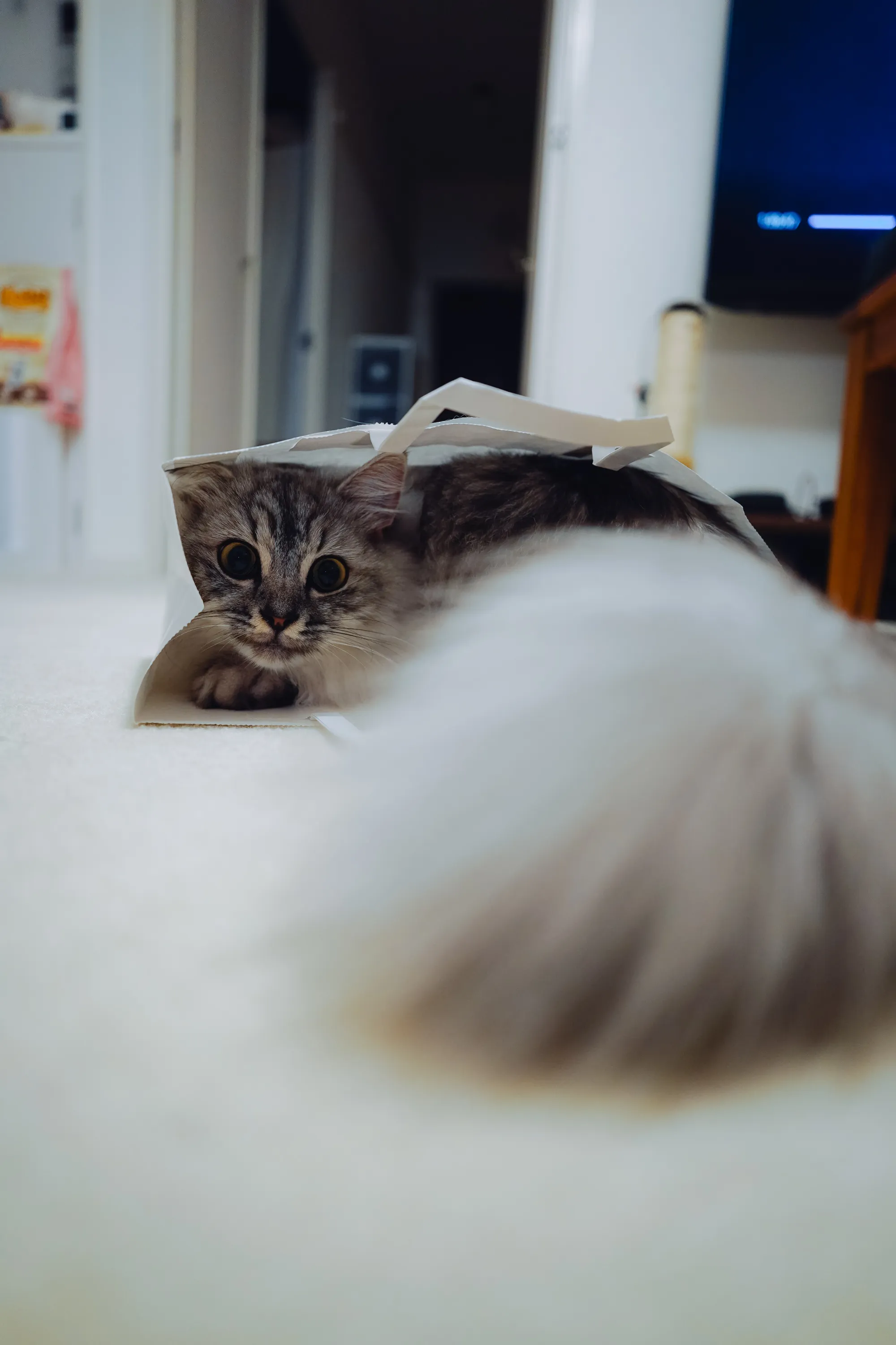 2021 — 09 — 01に撮影したうみとあおの写真