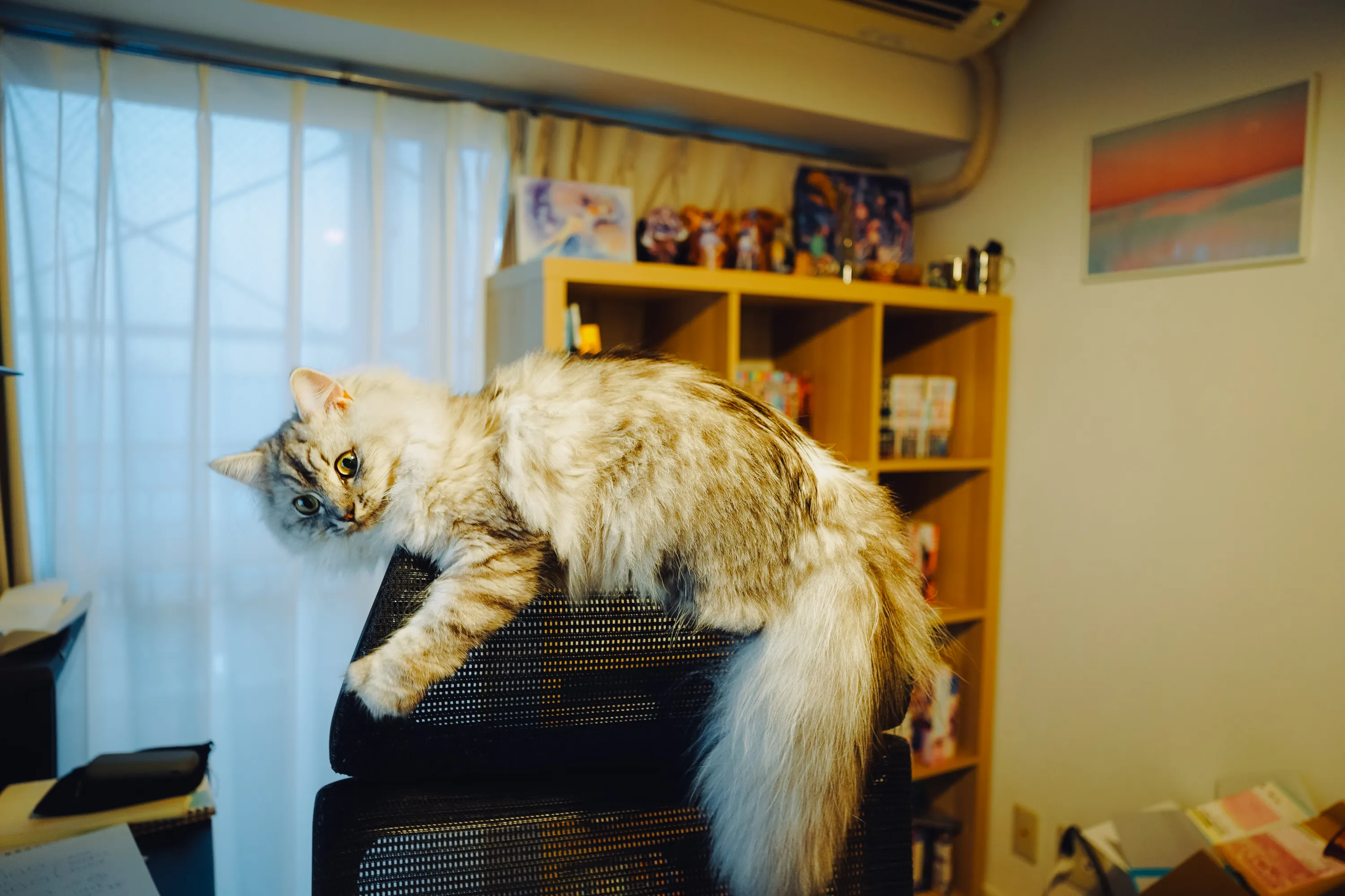 2021 — 09 — 02に撮影したうみとあおの写真