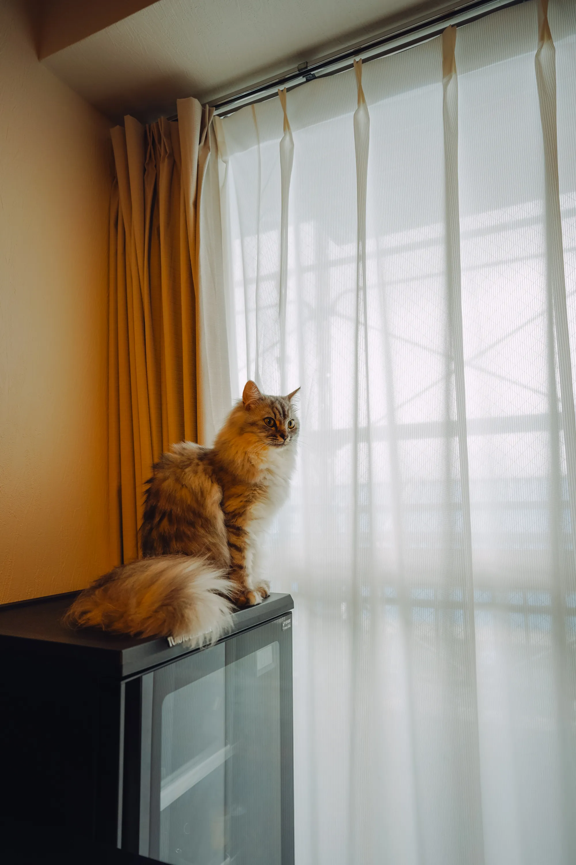 2021 — 09 — 06に撮影したあおの写真