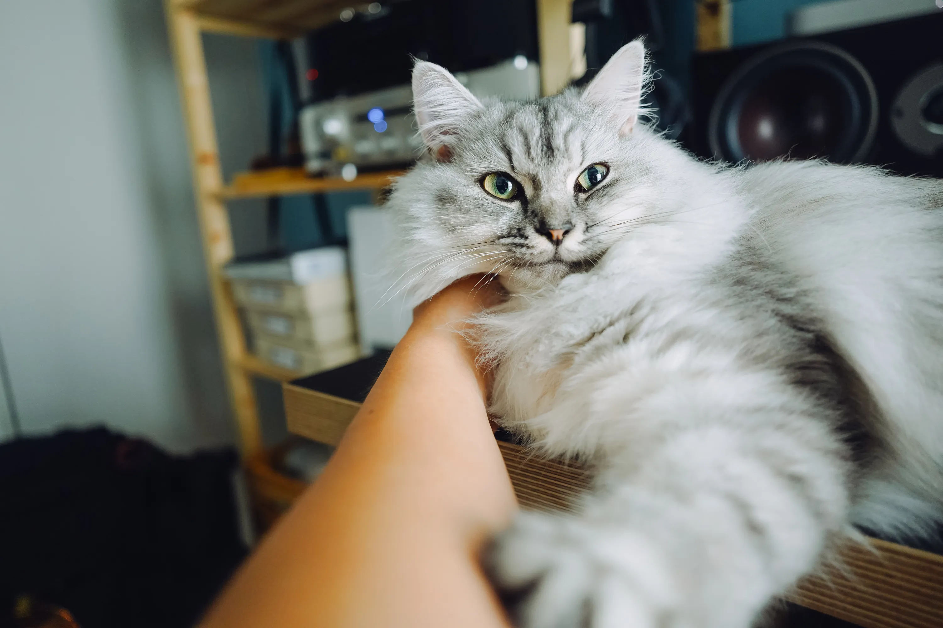 2021 — 09 — 15に撮影したうみの写真