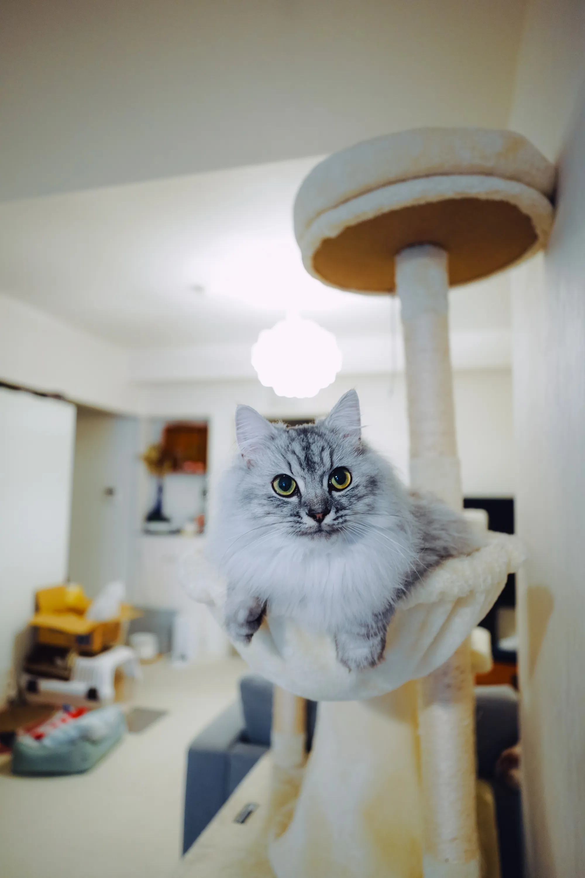 2021 — 10 — 12に撮影したうみの写真