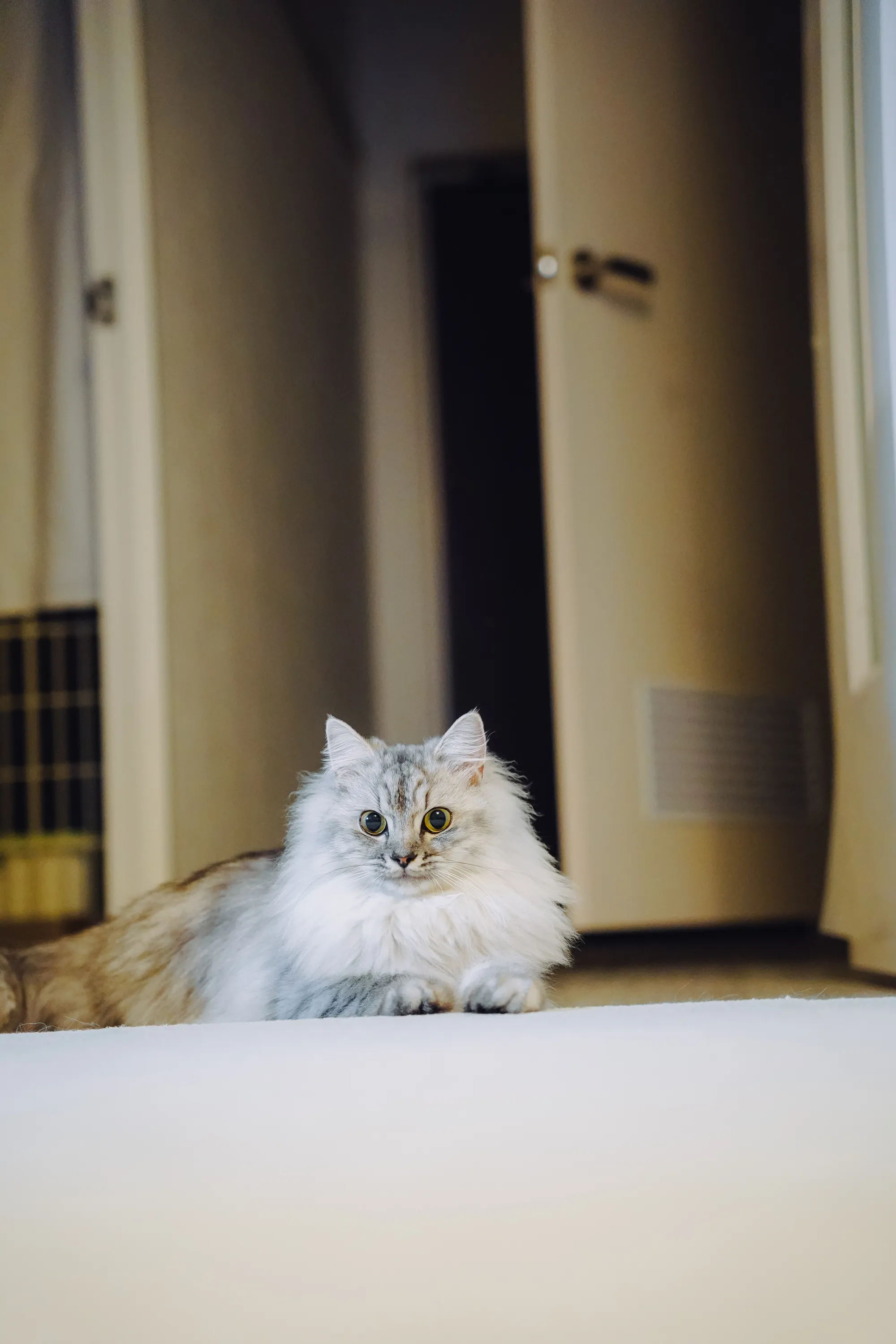 2021 — 10 — 14に撮影したうみとあおの写真