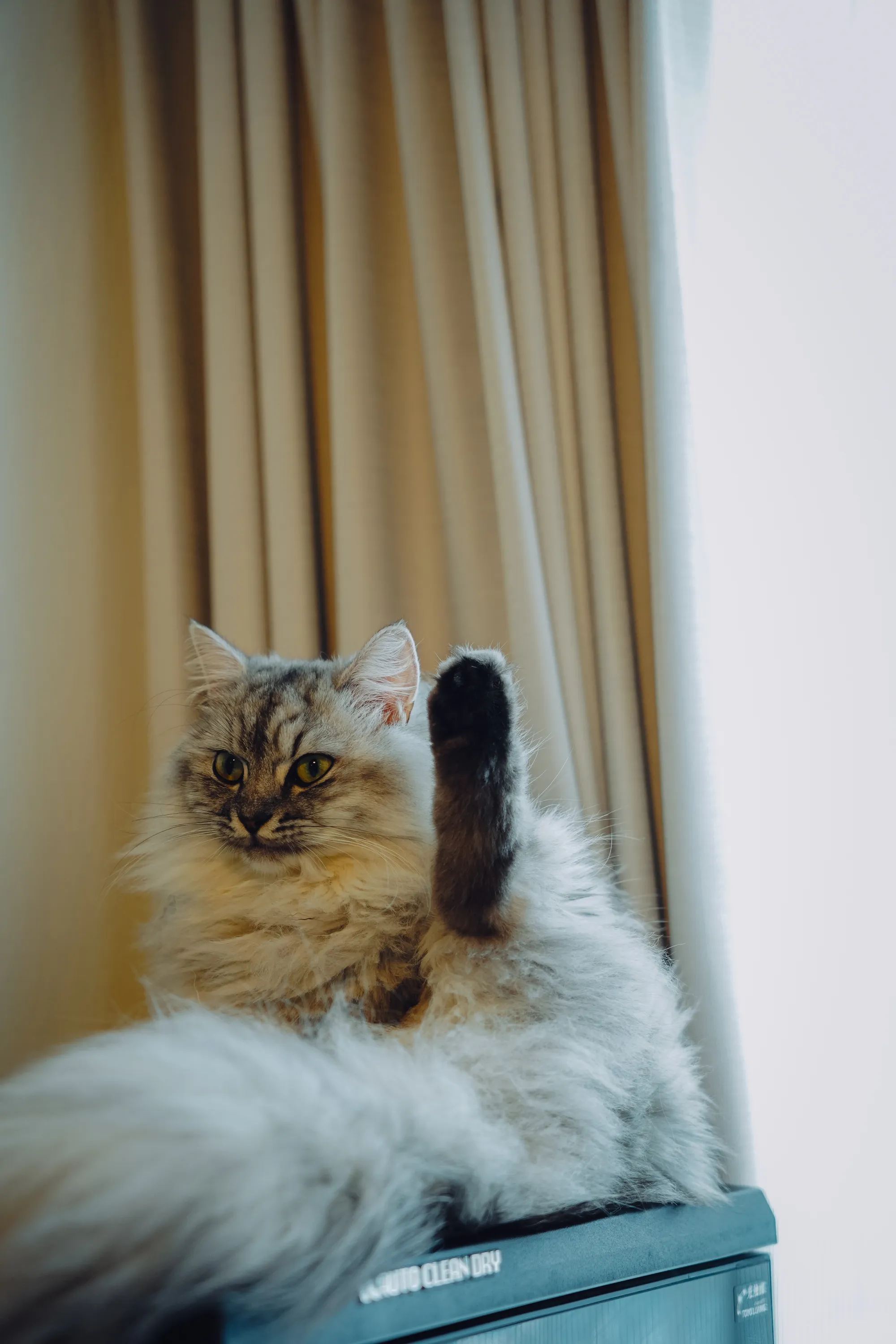 2021 — 10 — 15に撮影したうみとあおの写真