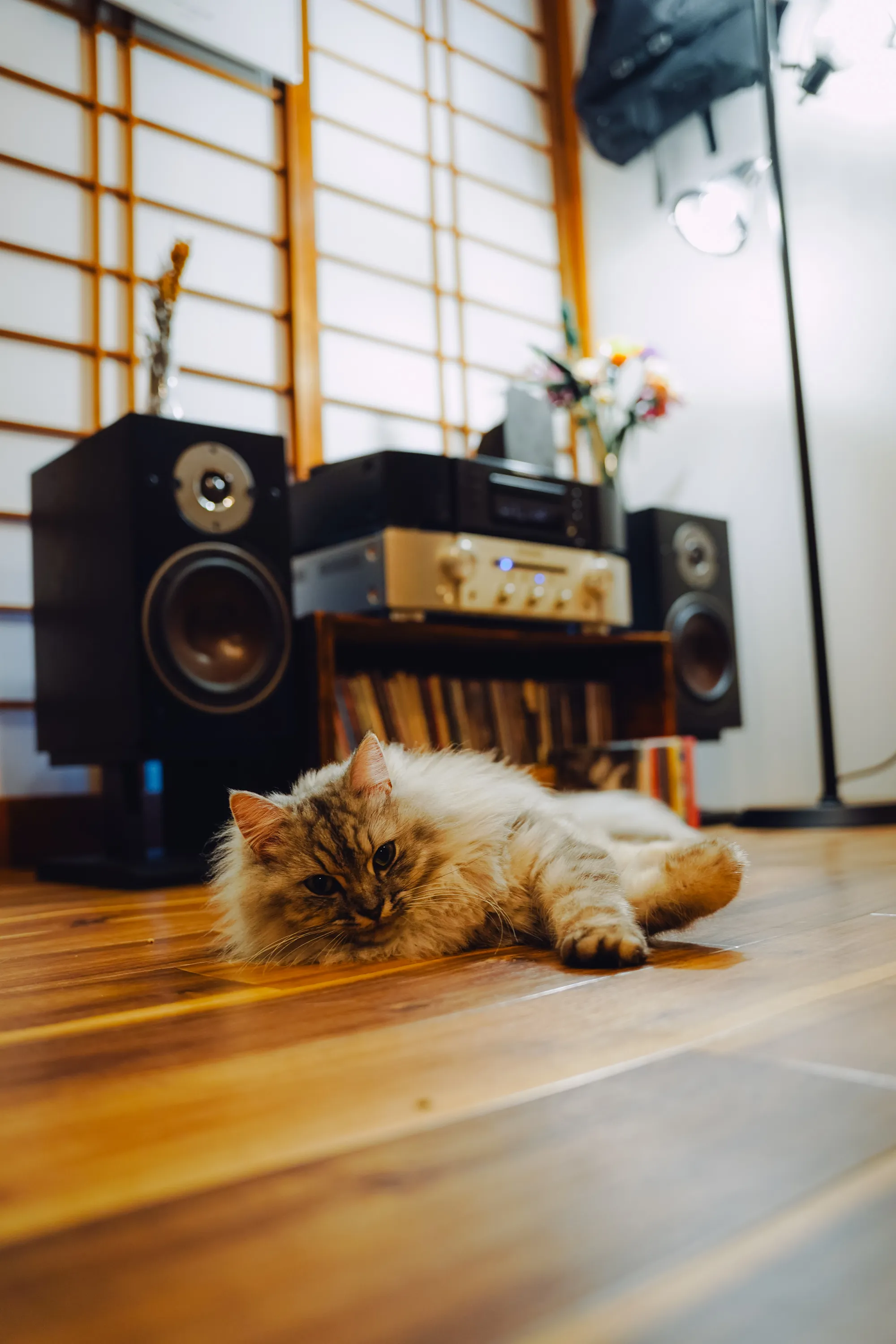 2021 — 11 — 18に撮影したうみとあおの写真