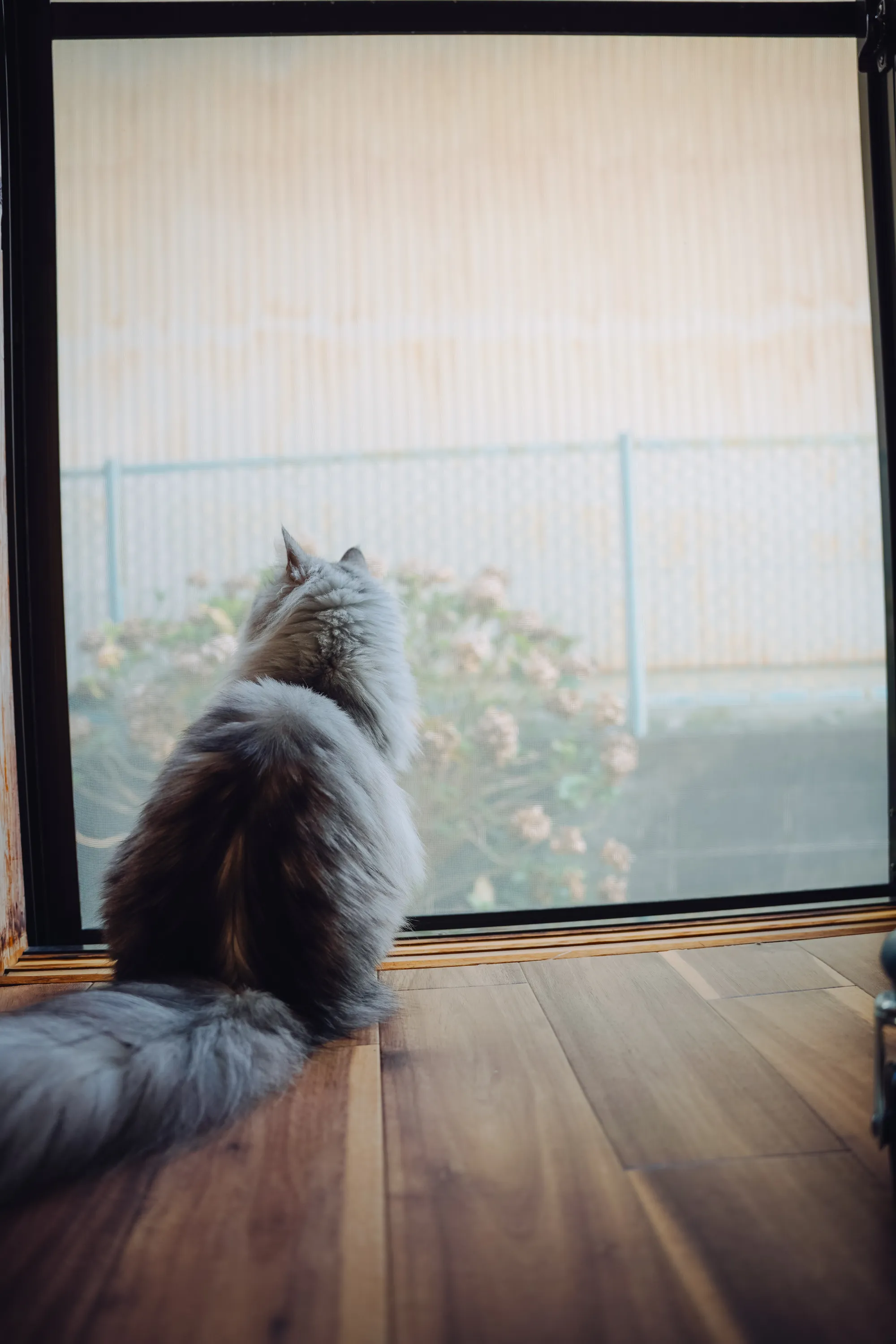 2021 — 11 — 19に撮影したうみの写真