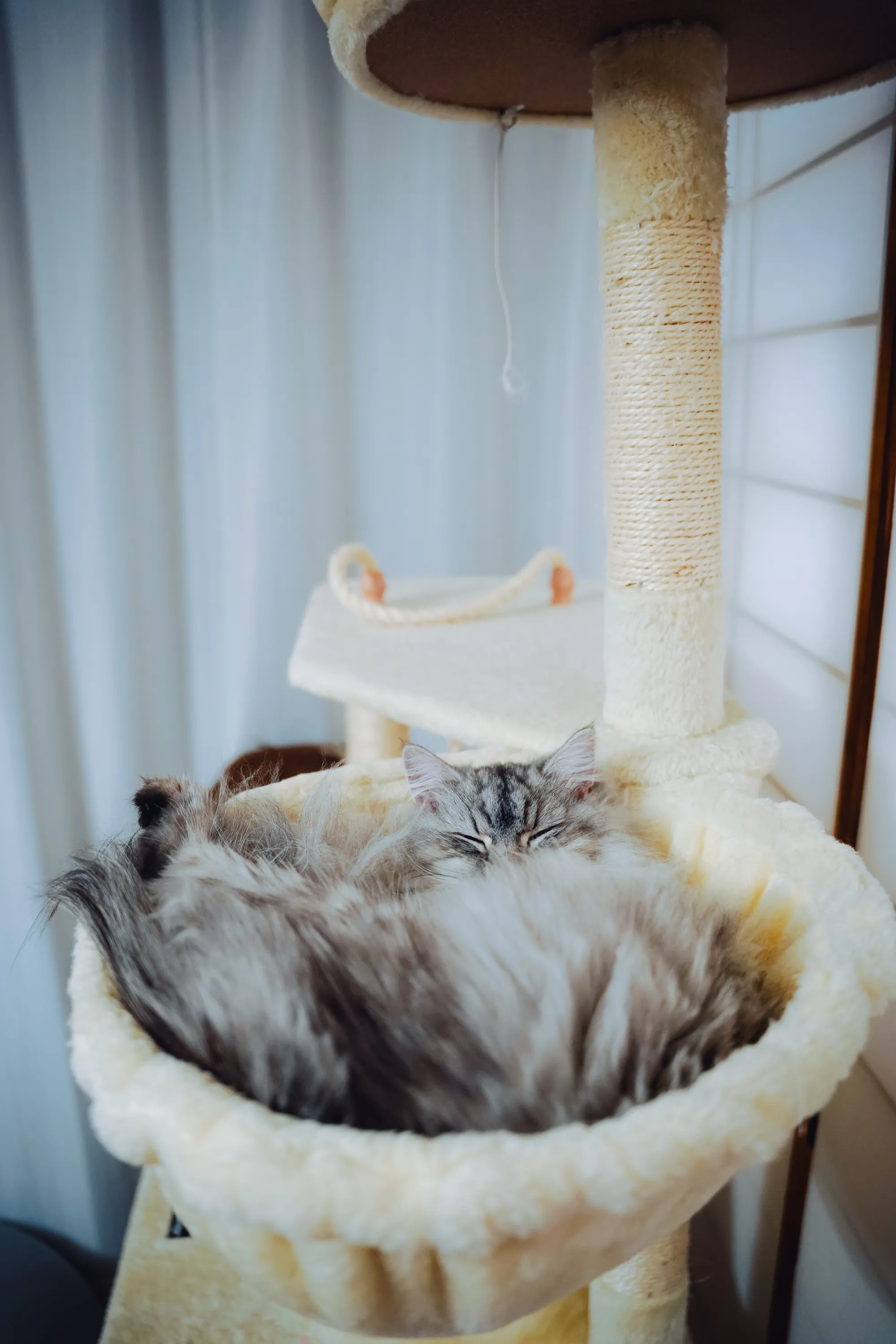 2021 — 11 — 24に撮影したうみとあおの写真
