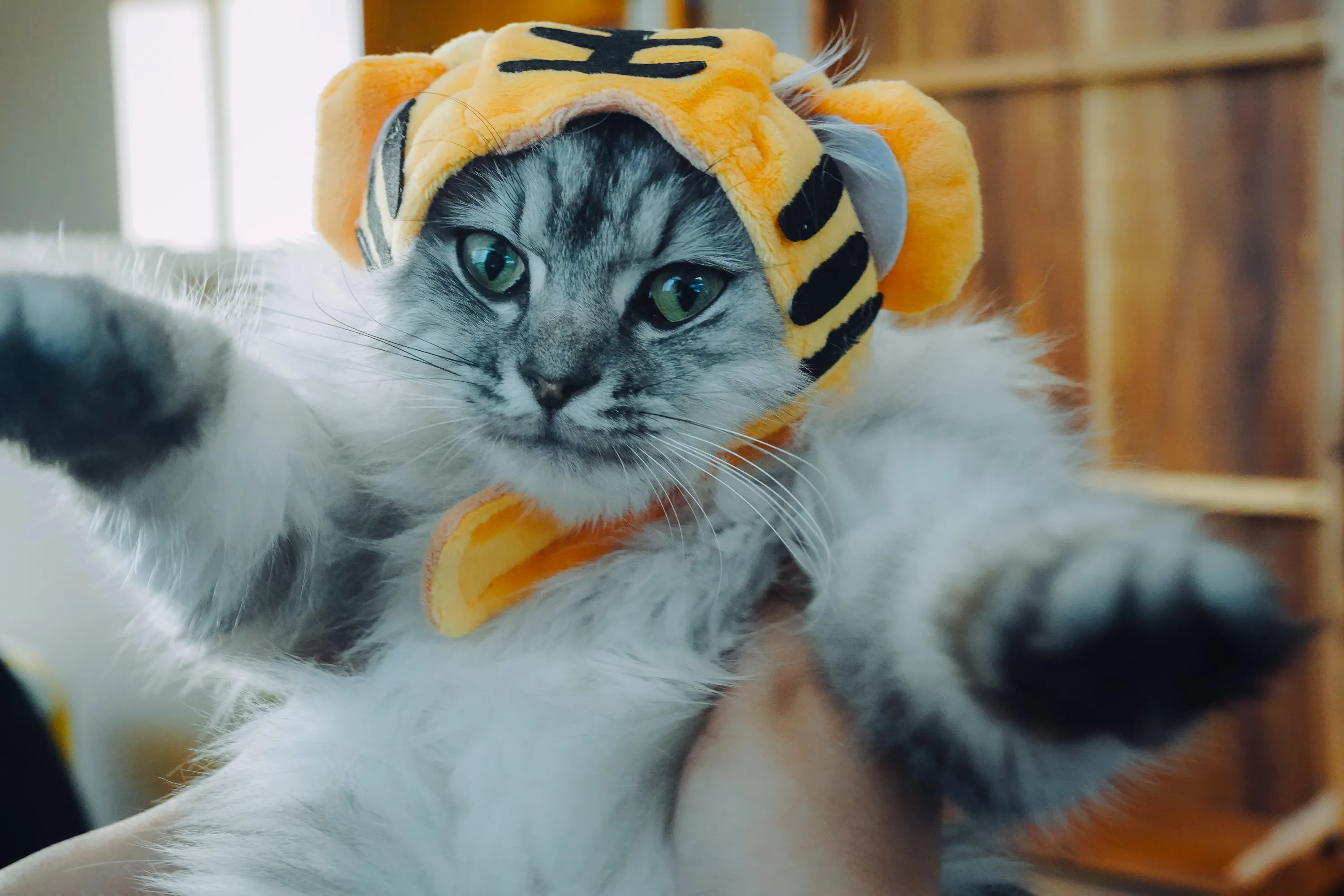 2021 — 12 — 04に撮影したうみの写真