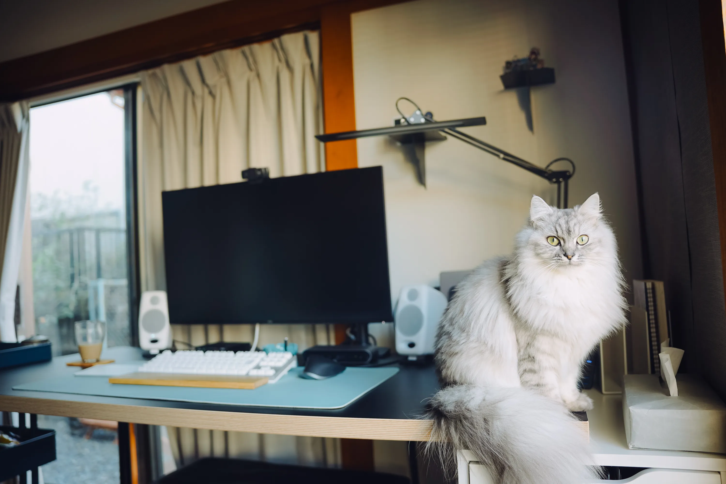 2021 — 12 — 15に撮影したうみの写真