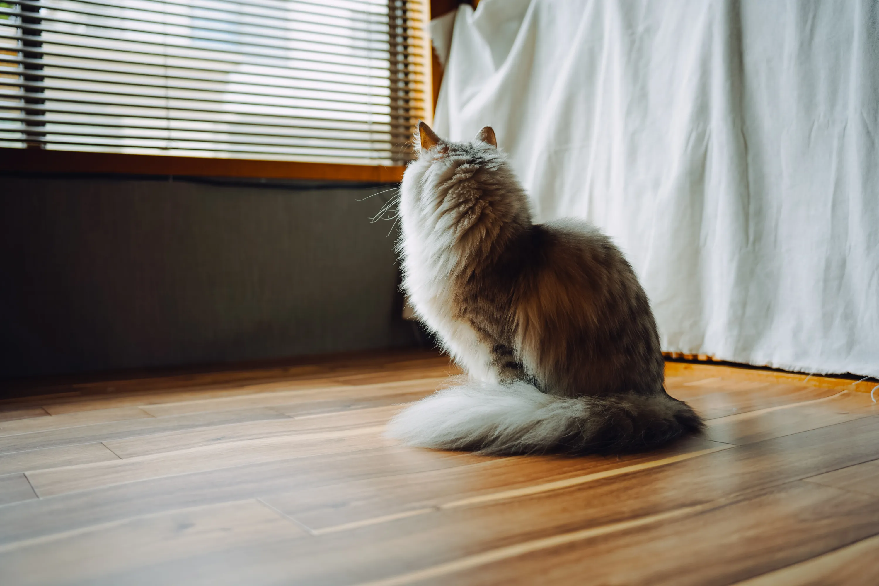 2022 — 01 — 07に撮影したうみとあおの写真