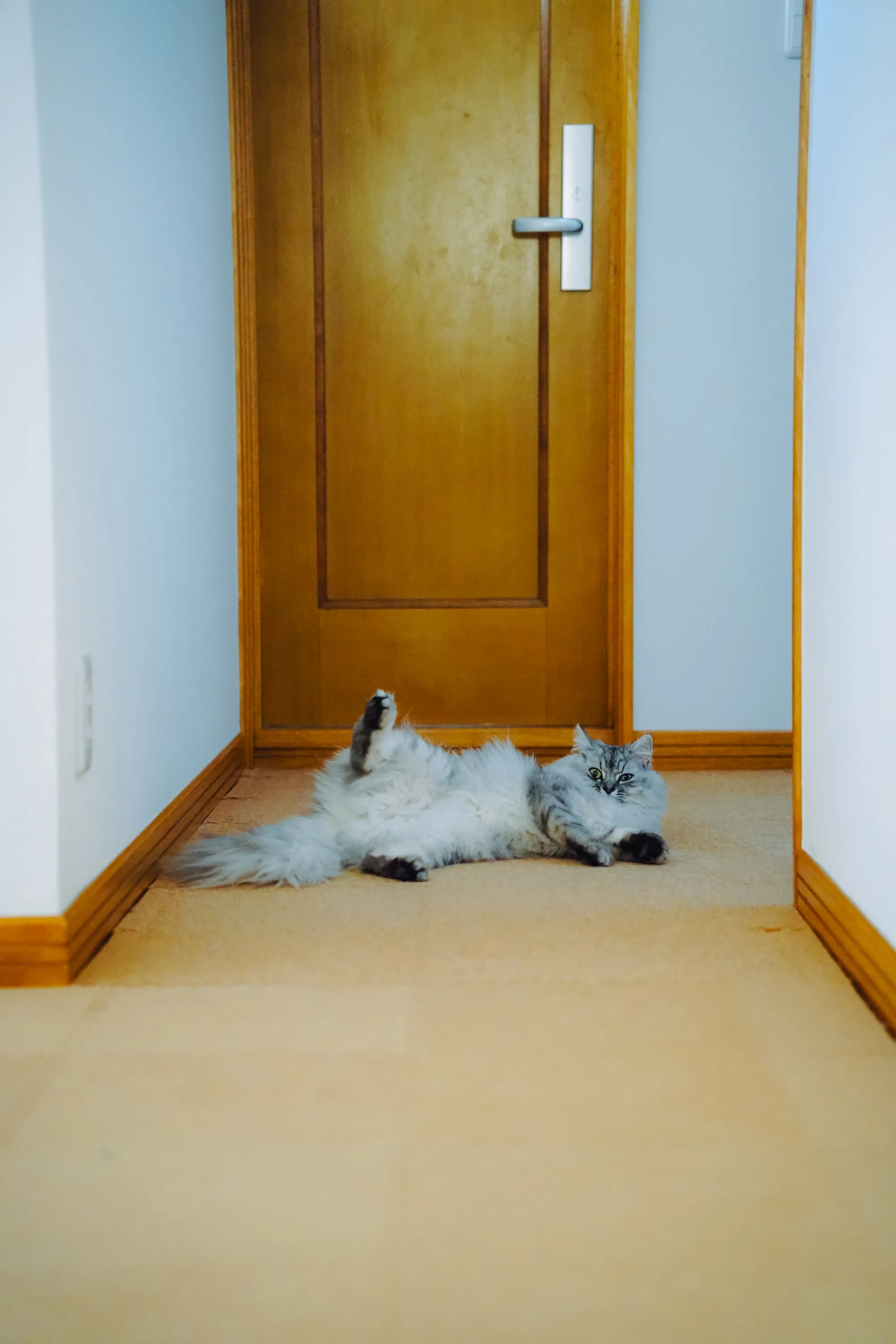 2022 — 01 — 19に撮影したうみの写真