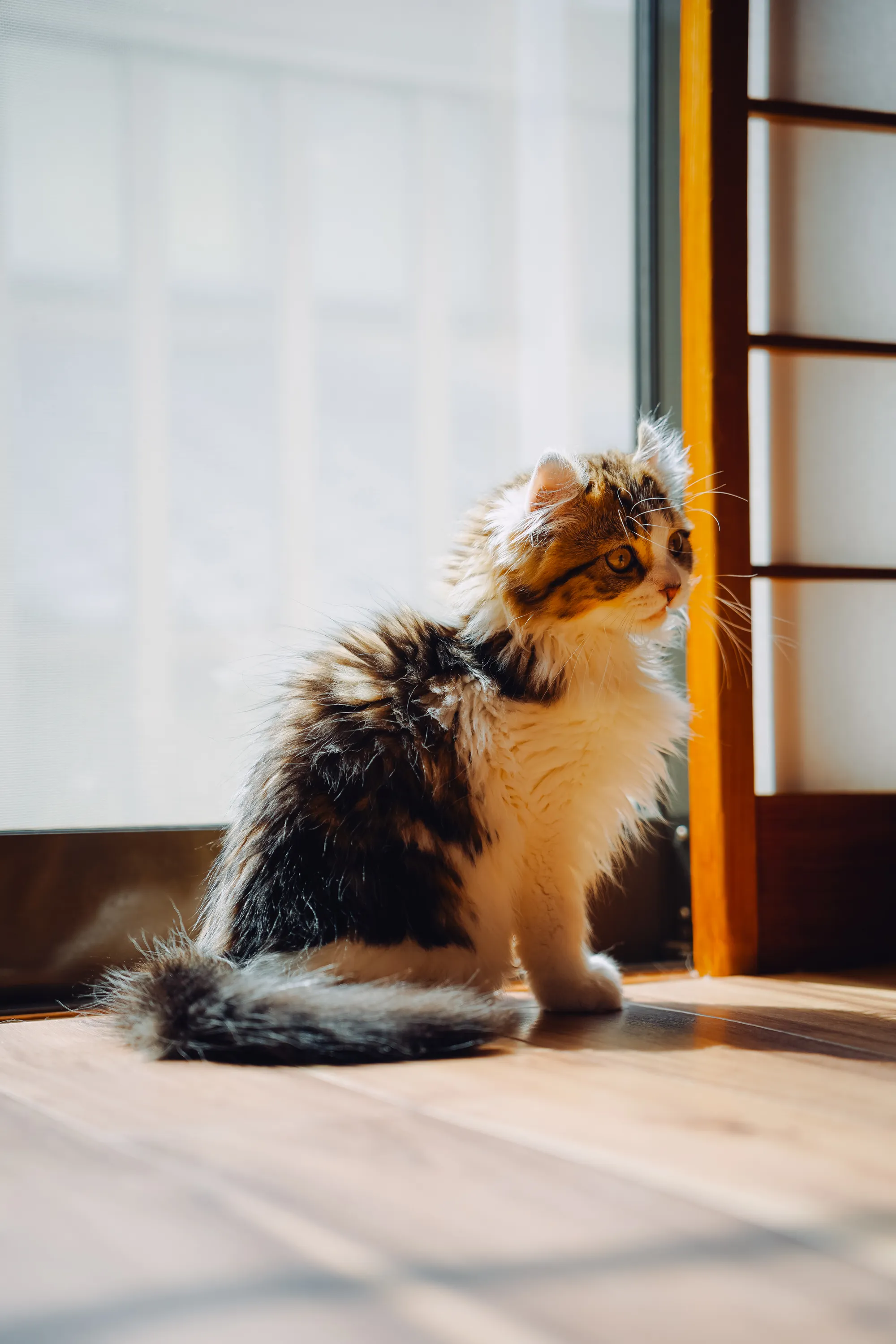 2022 — 03 — 13に撮影したあおの写真