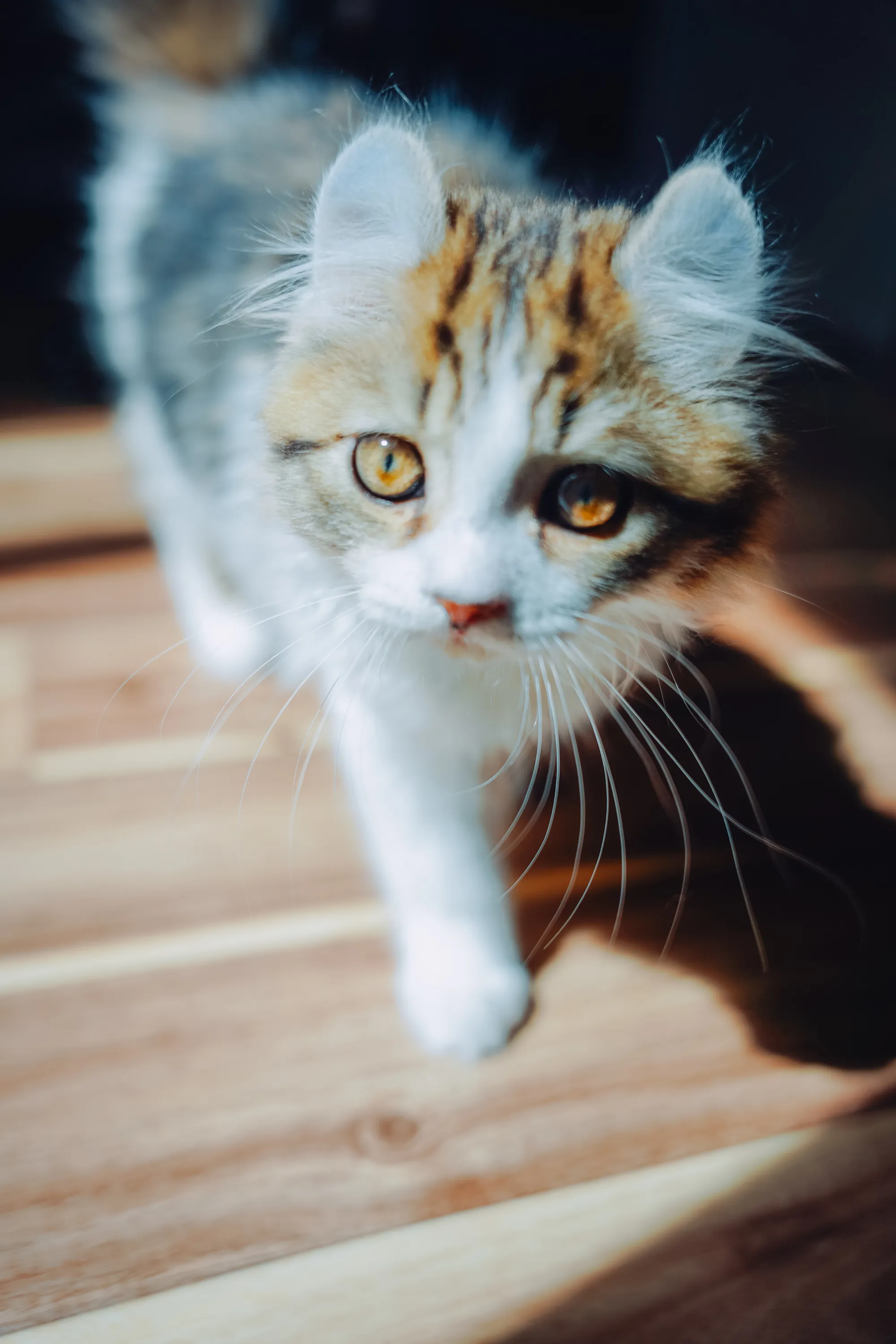 2022 — 03 — 13に撮影したうみとあおの写真