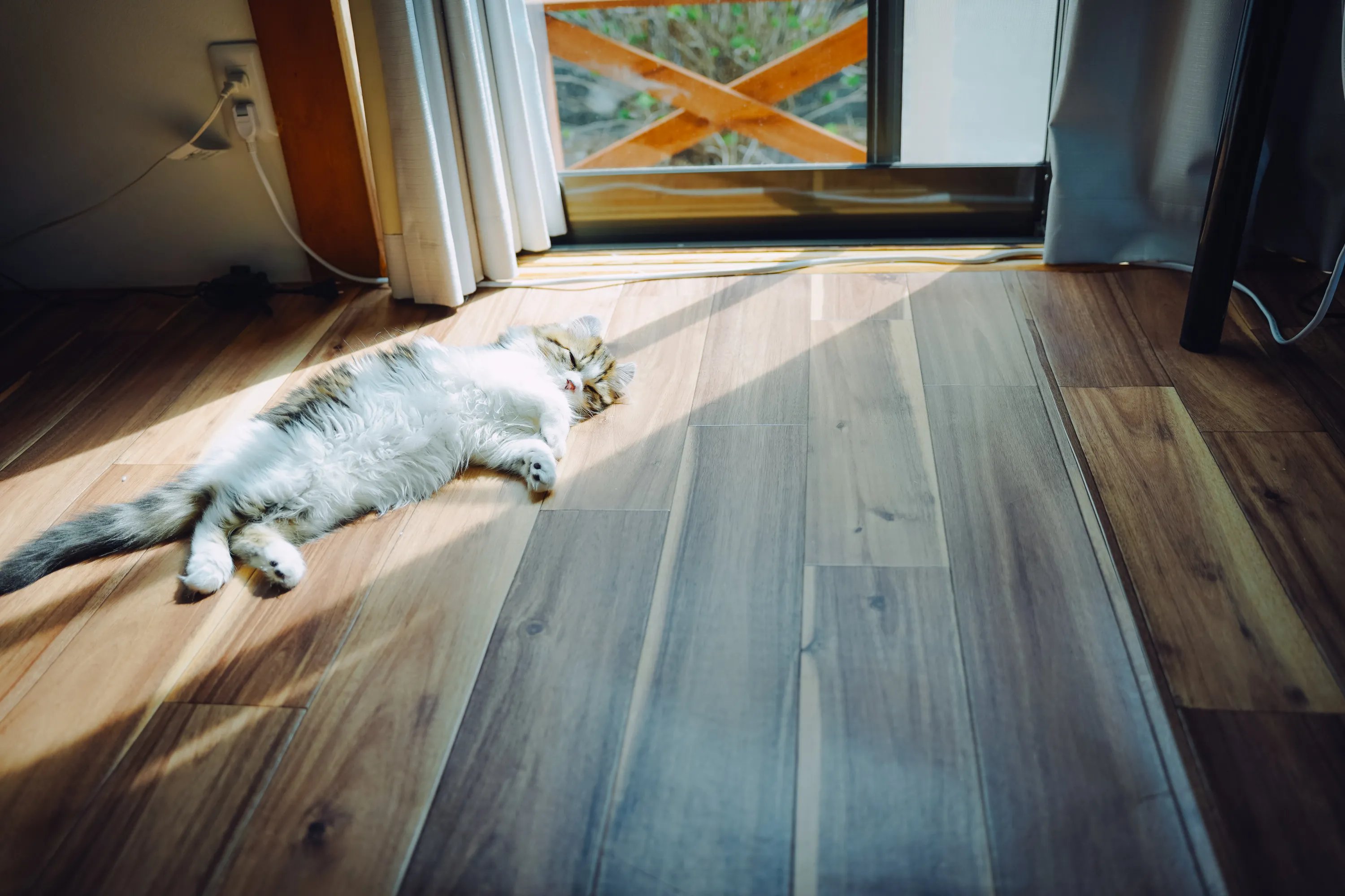 2022 — 03 — 13に撮影したうみとあおの写真