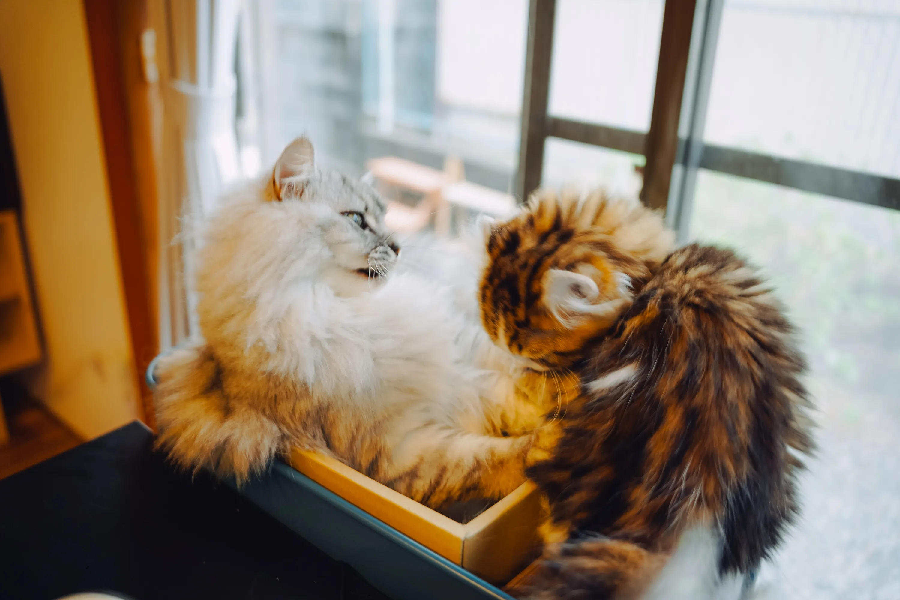 2022 — 03 — 17に撮影したうみとあおの写真
