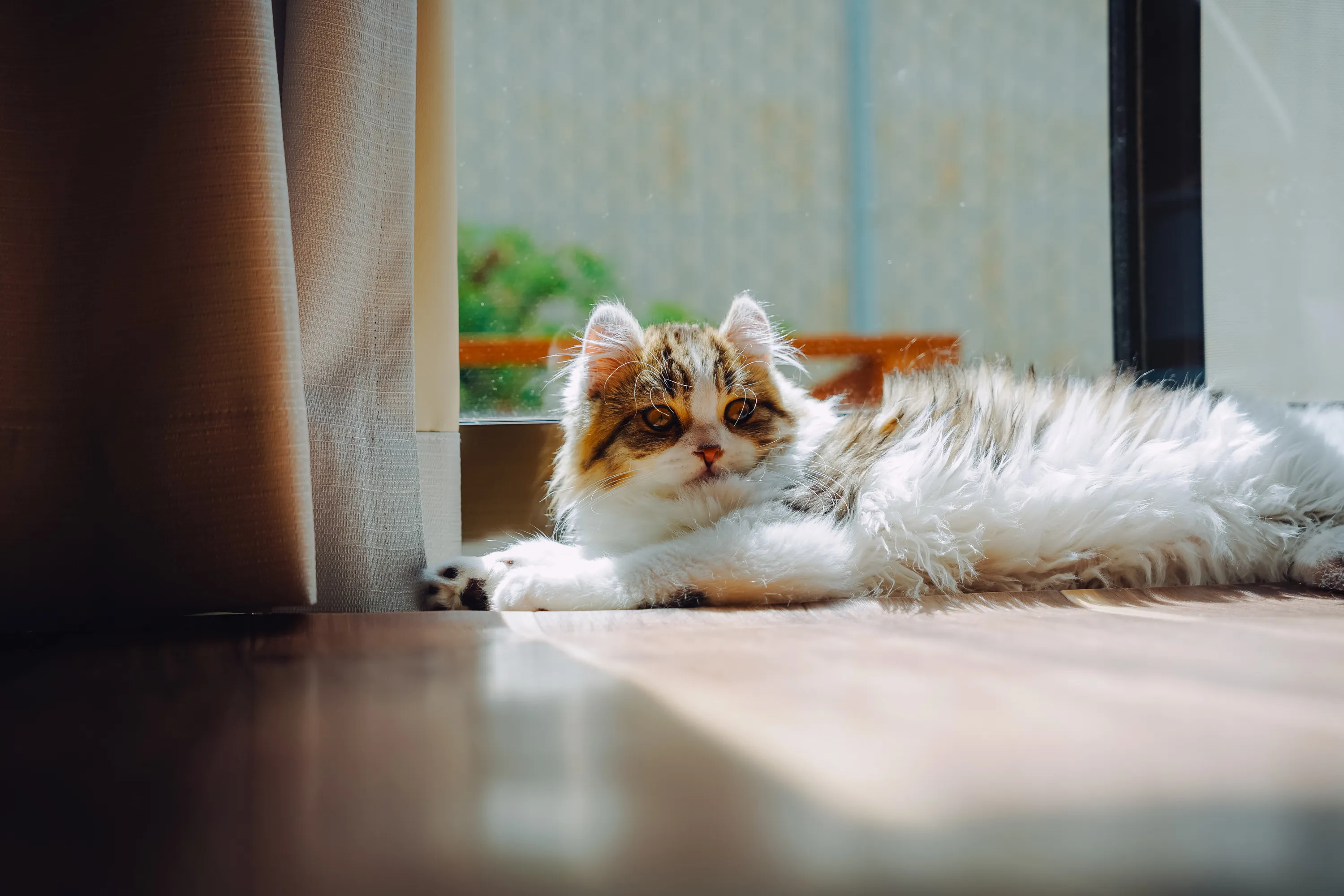 2022 — 03 — 27に撮影したうみとあおの写真