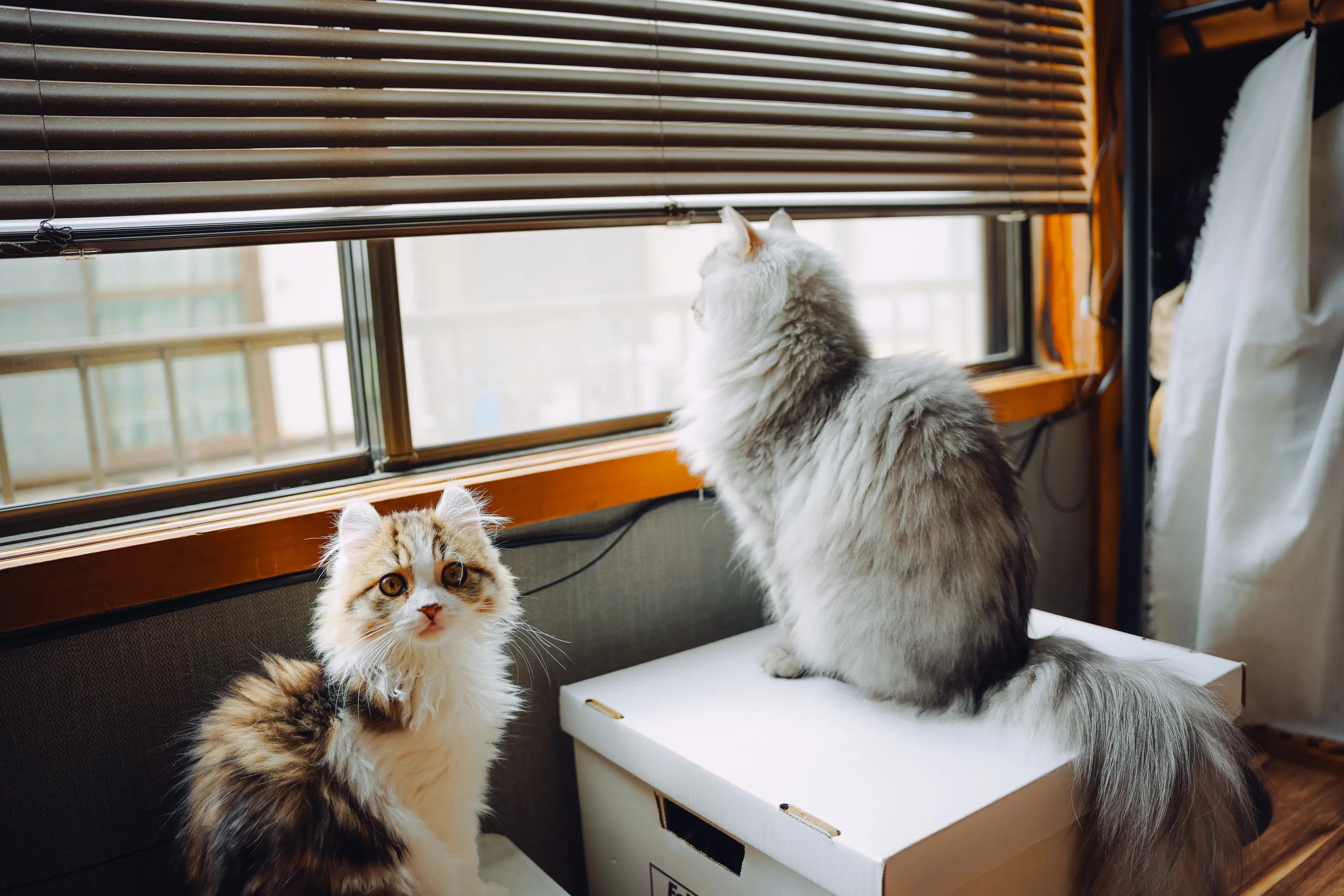 2022 — 03 — 29に撮影したうみとあおの写真
