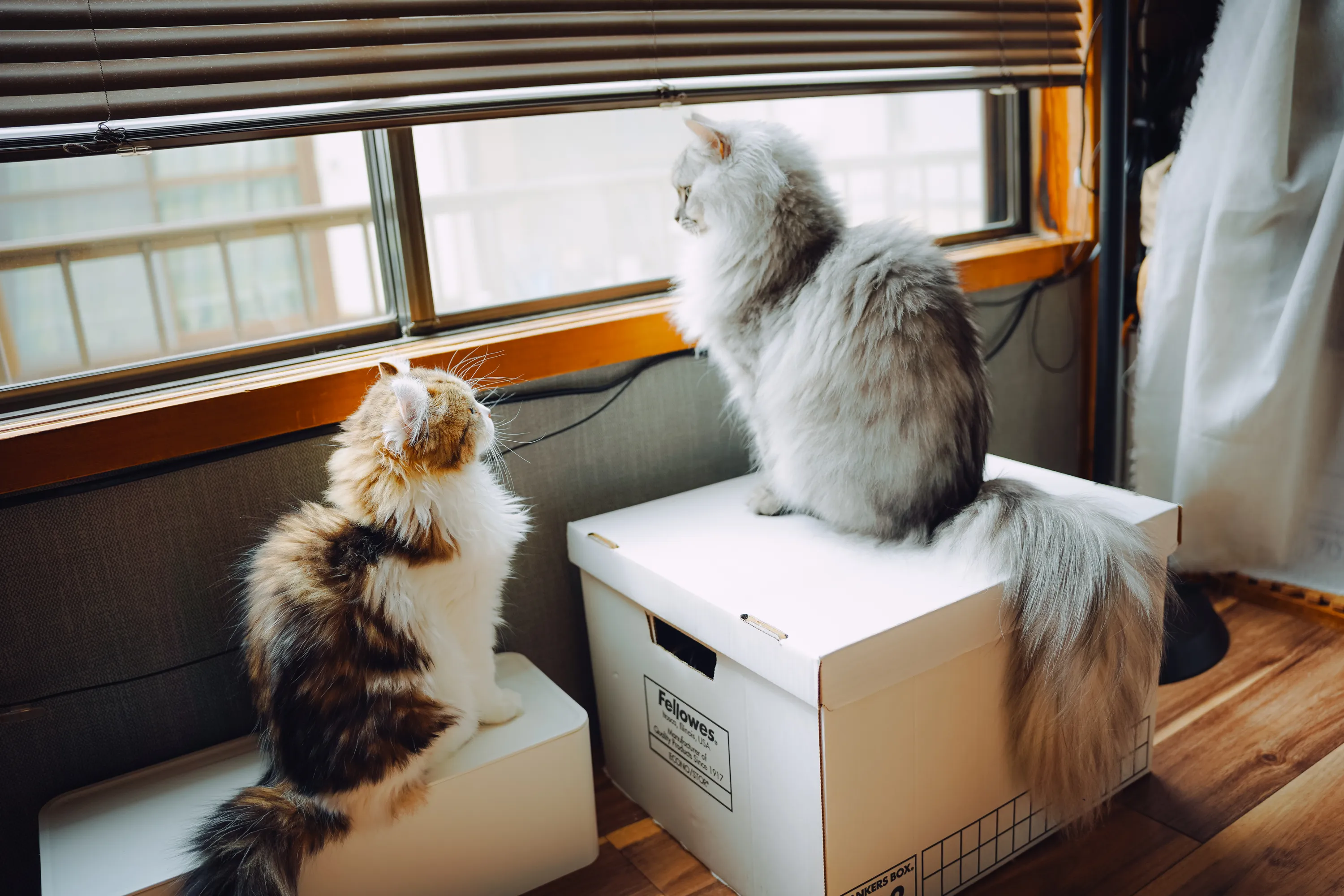 2022 — 03 — 29に撮影したうみとあおの写真