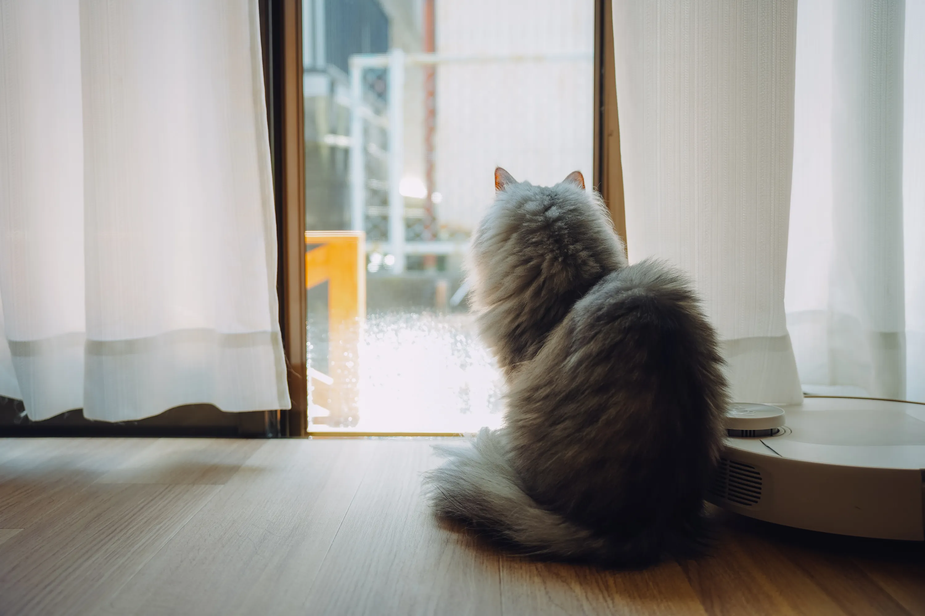 2022 — 05 — 02に撮影したうみの写真