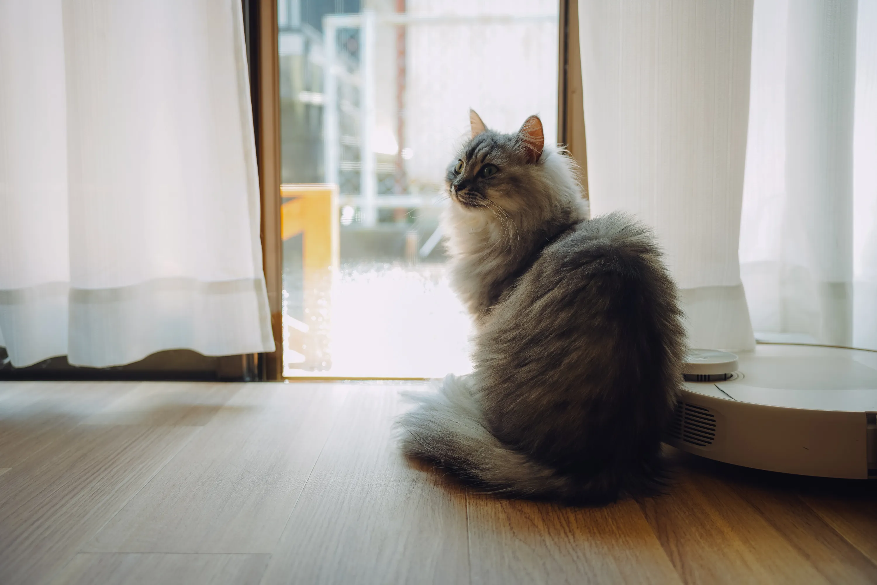 2022 — 05 — 02に撮影したうみとあおの写真