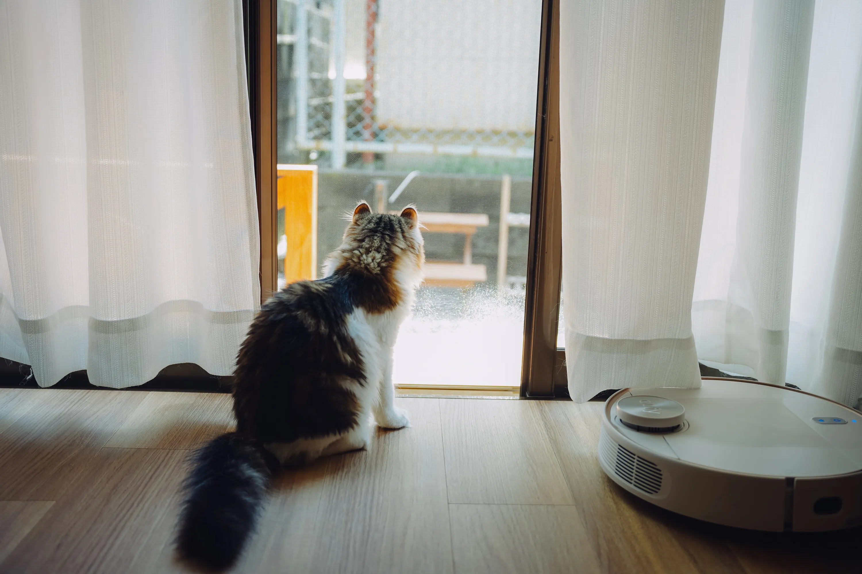 2022 — 05 — 02に撮影したあおの写真