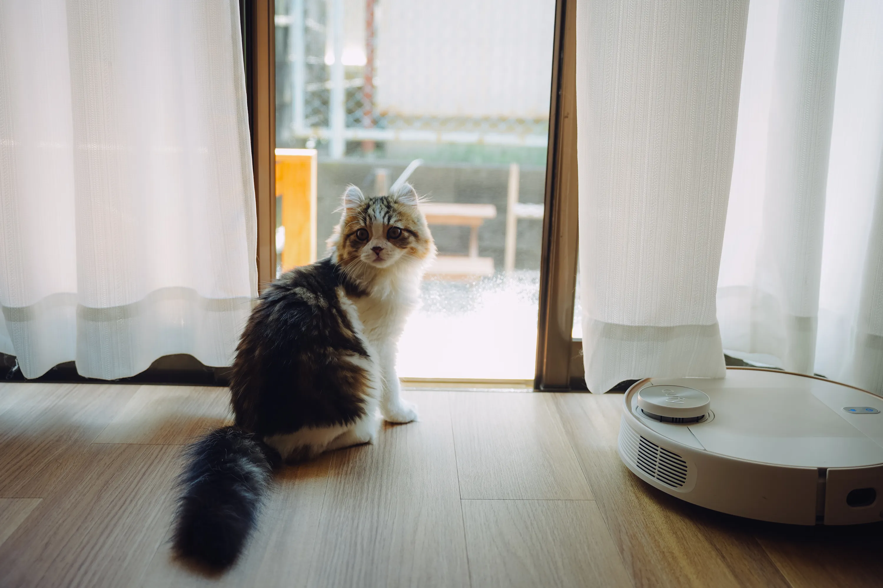 2022 — 05 — 02に撮影したあおの写真