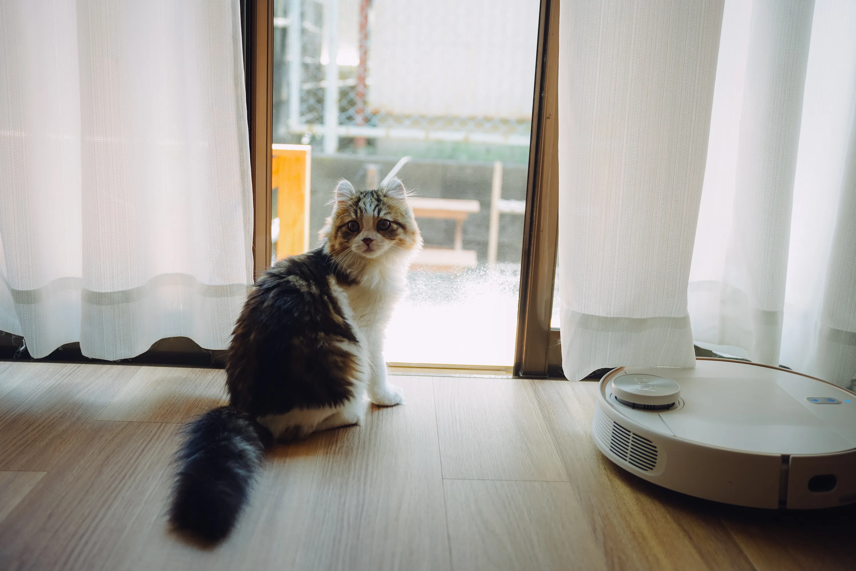2022 — 05 — 02に撮影したあおの写真