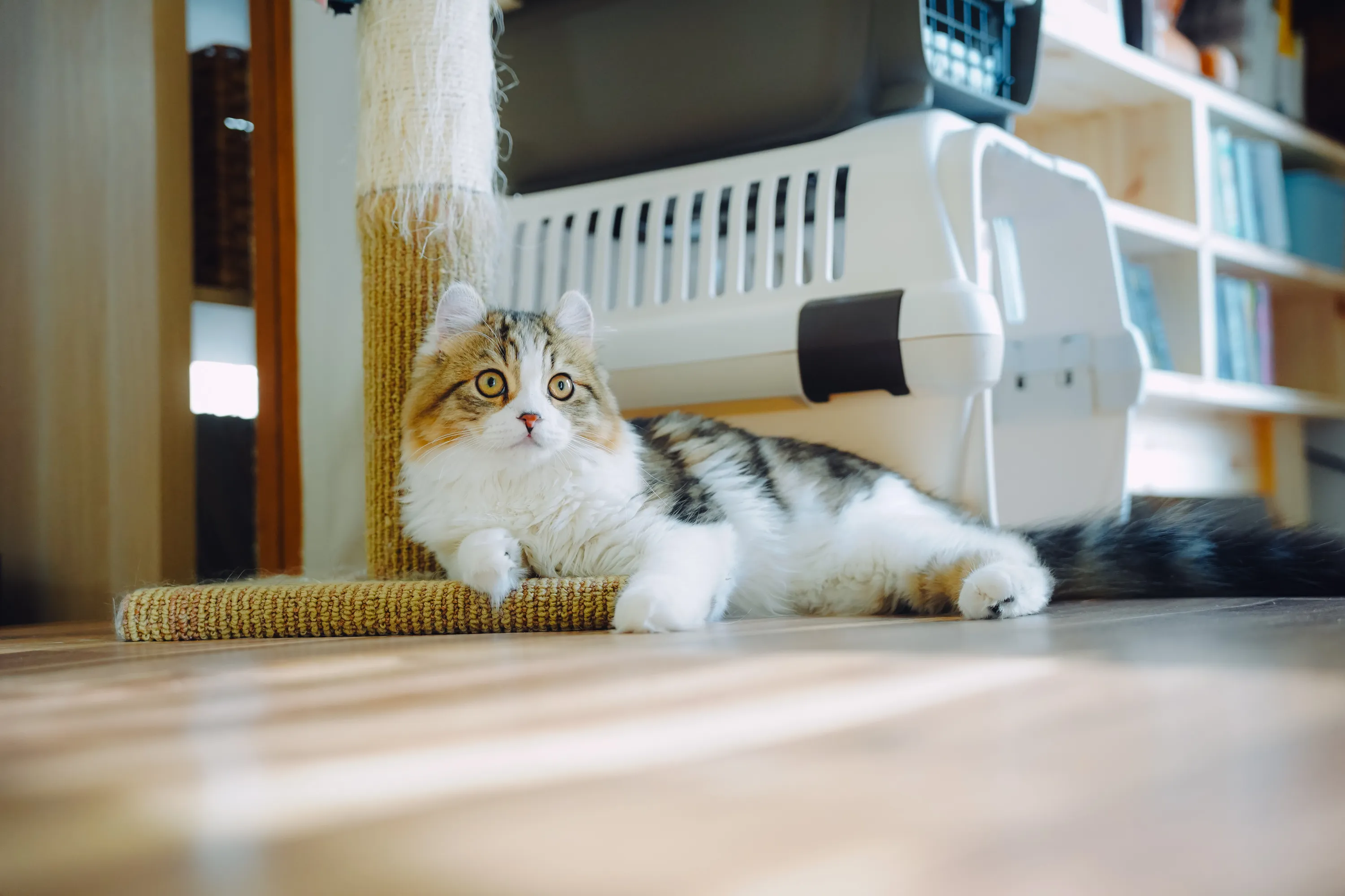 2022 — 05 — 11に撮影したうみとあおの写真