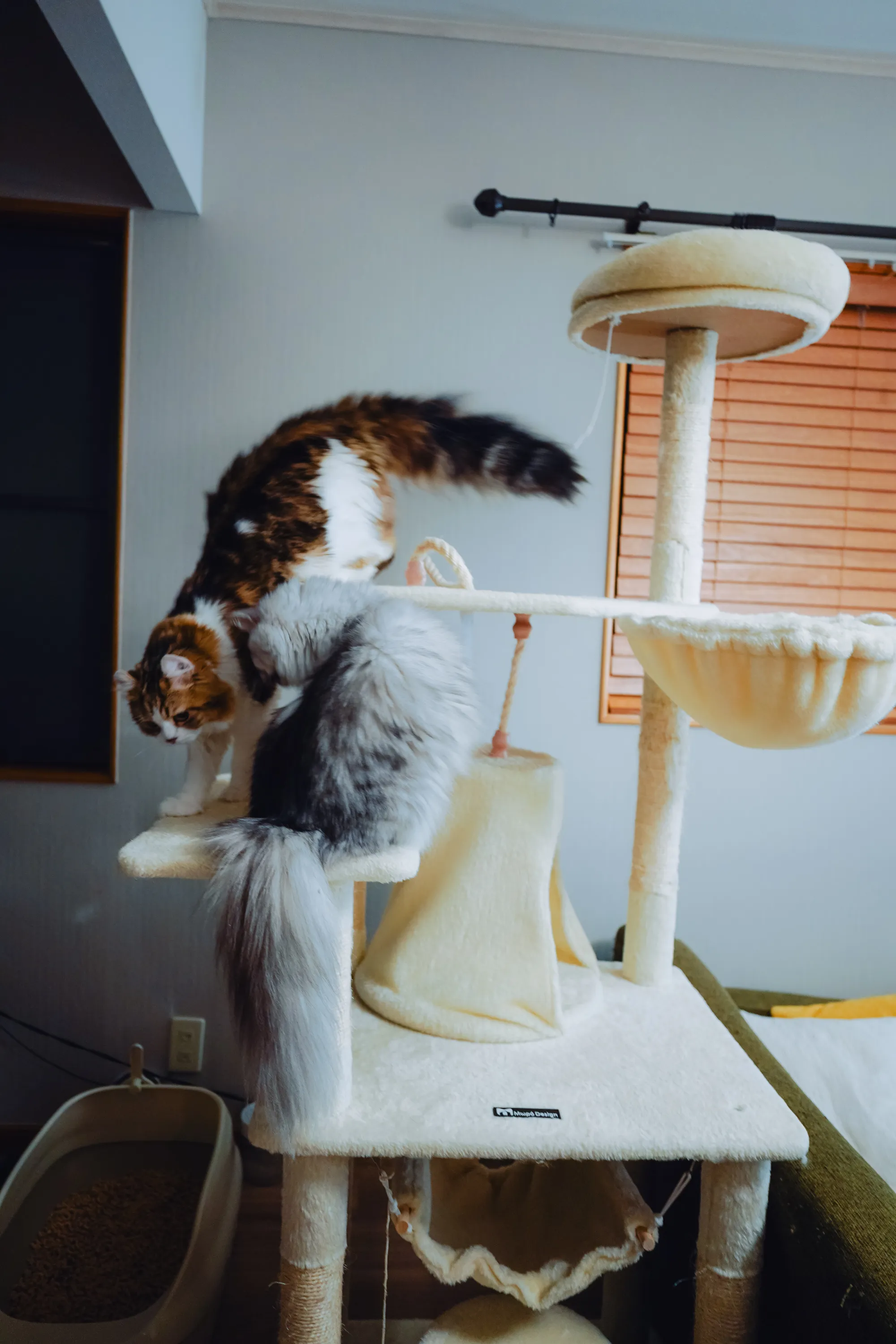 2022 — 08 — 20に撮影したうみとあおの写真