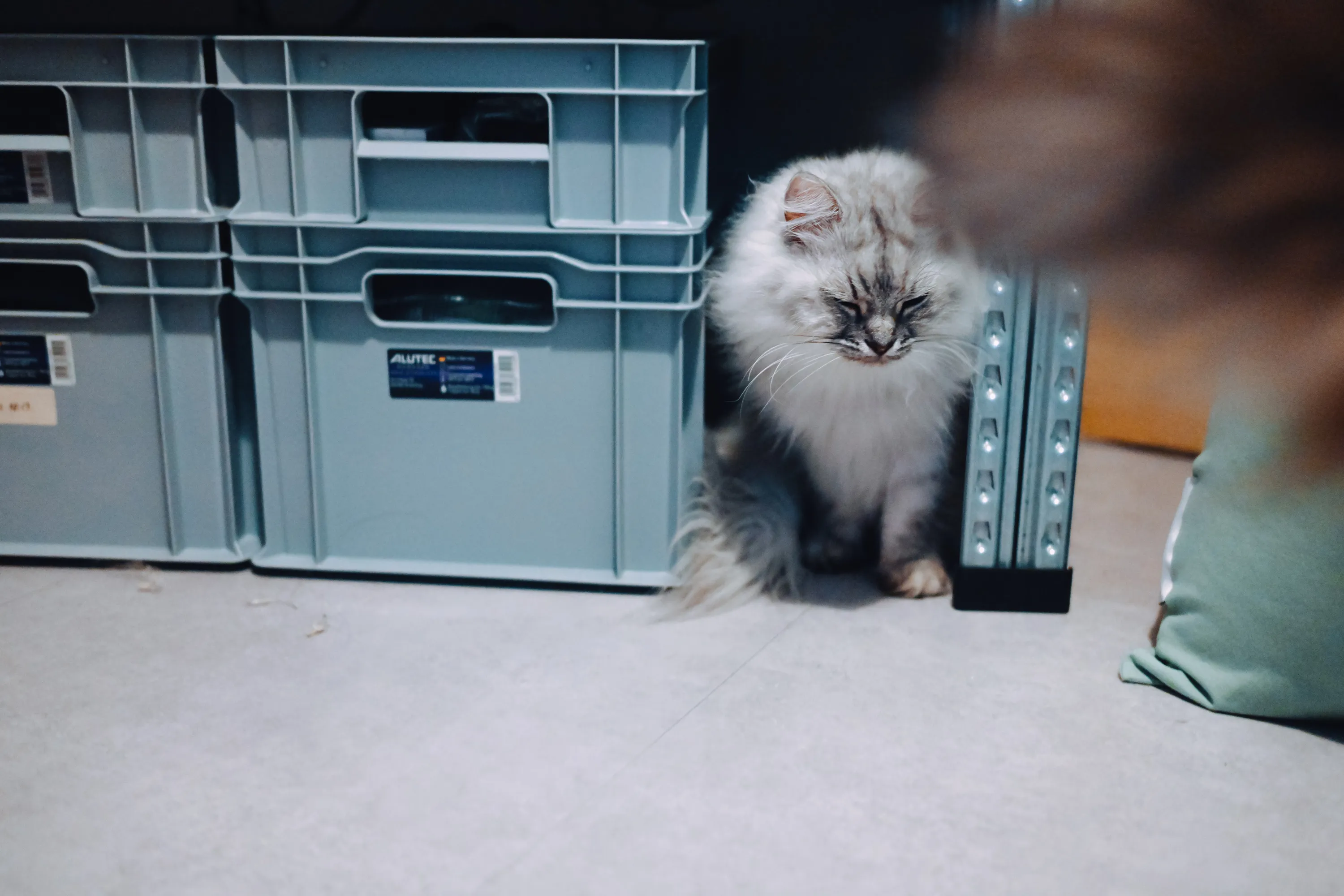 2024 — 11 — 08に撮影したうみの写真