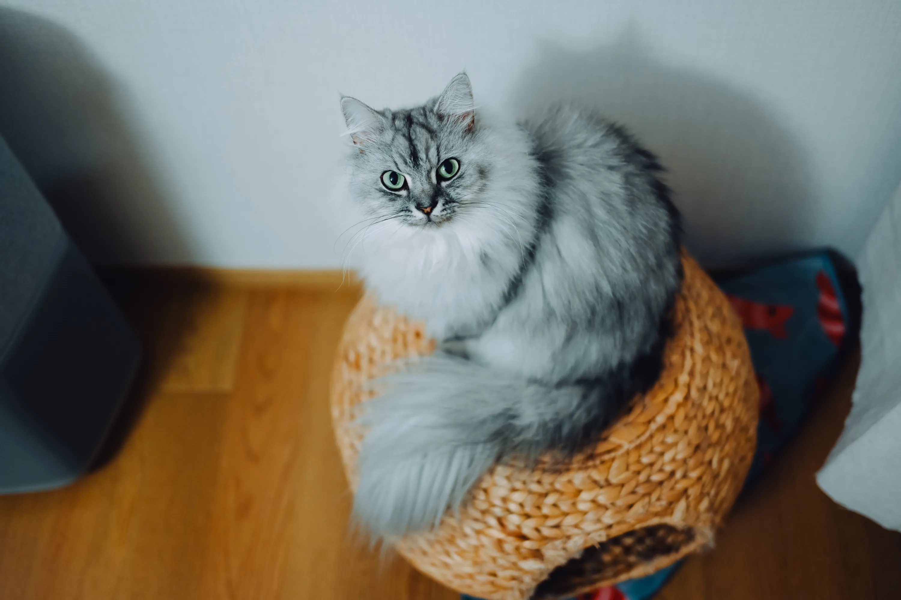 2024 — 12 — 24に撮影したうみの写真