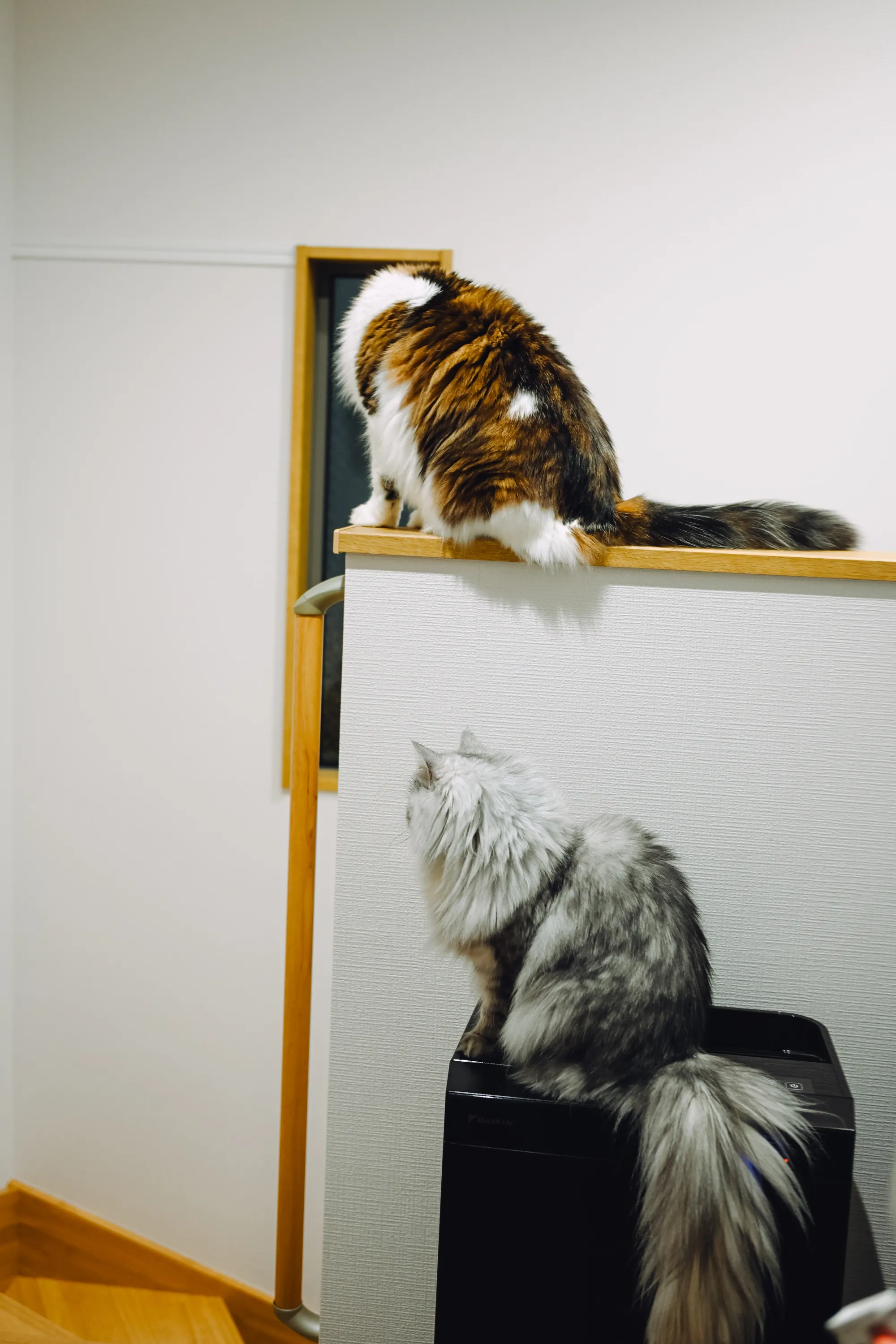 2025 — 12 — 31に撮影したうみとあおの写真