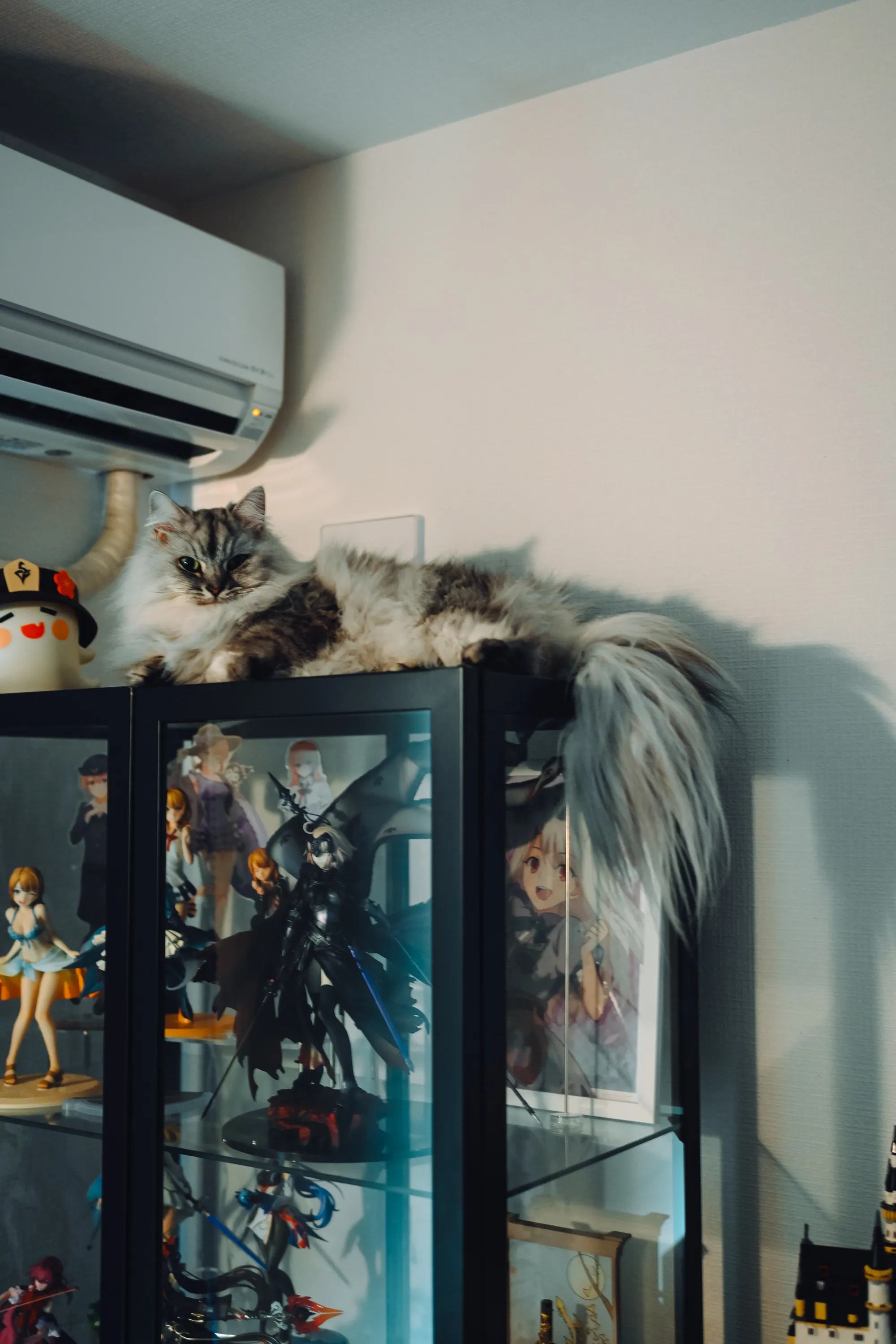 2026 — 01 — 26に撮影したうみとあおの写真