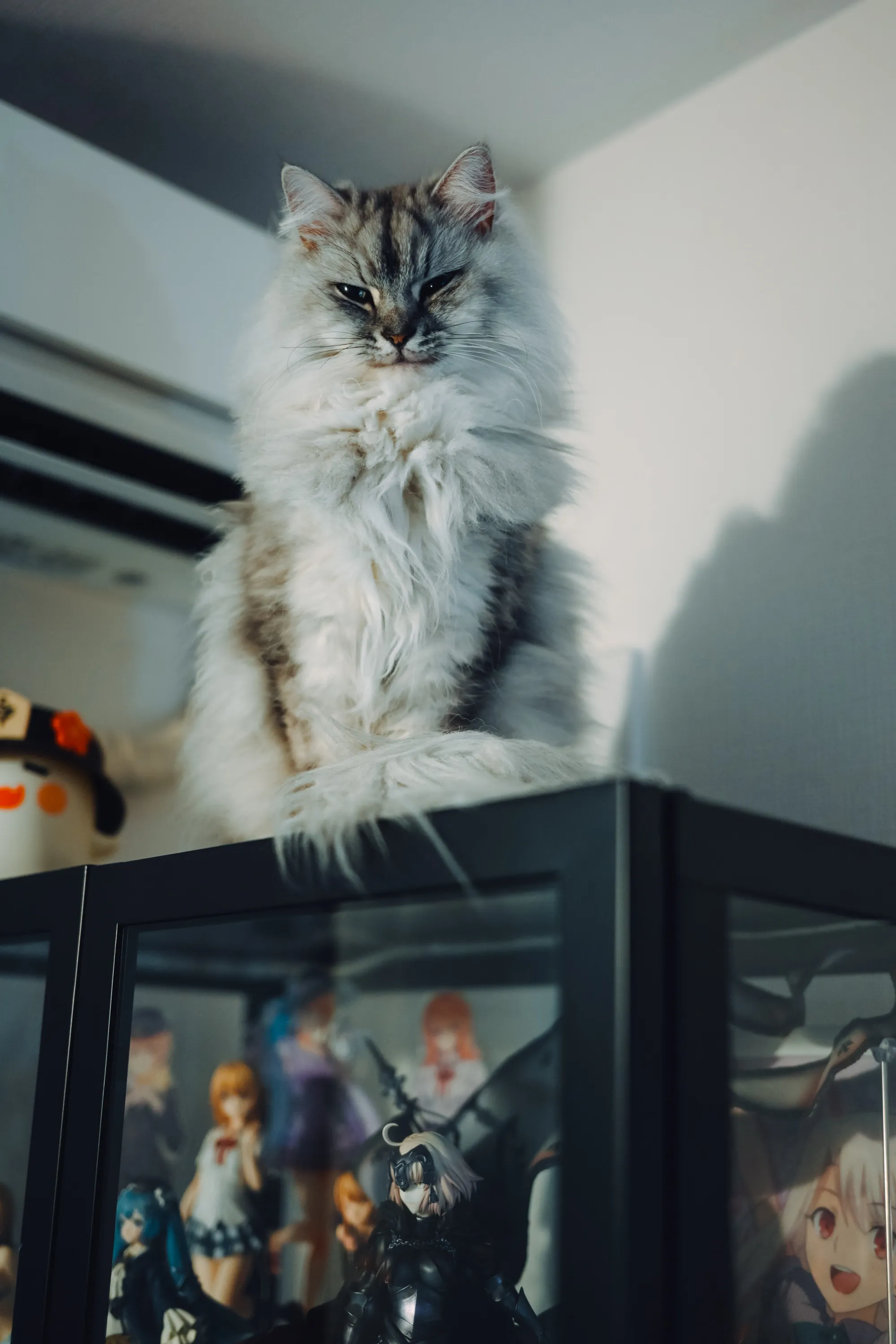 2026 — 02 — 01に撮影したうみとあおの写真