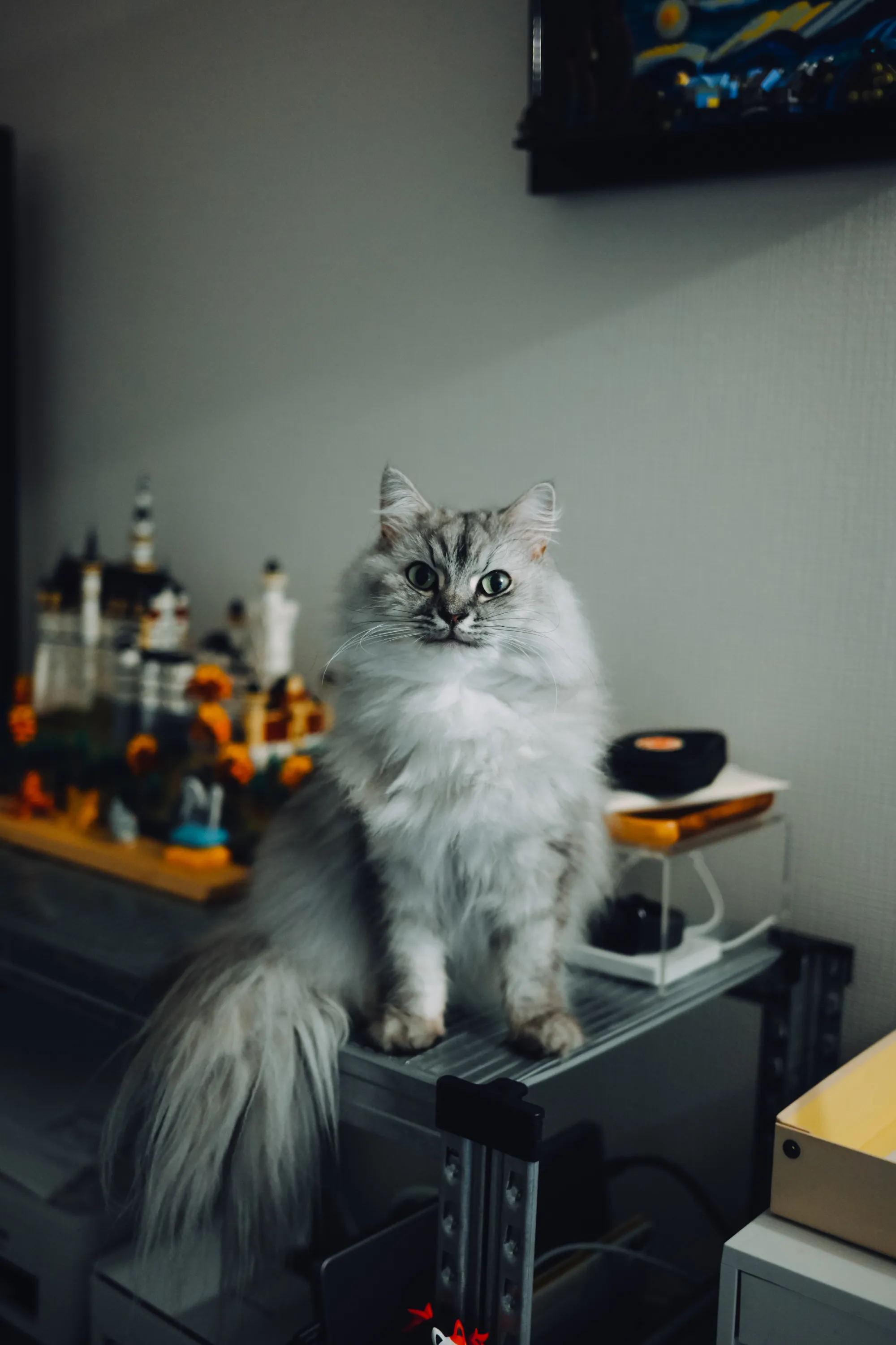 2026 — 08 — 18に撮影したうみの写真