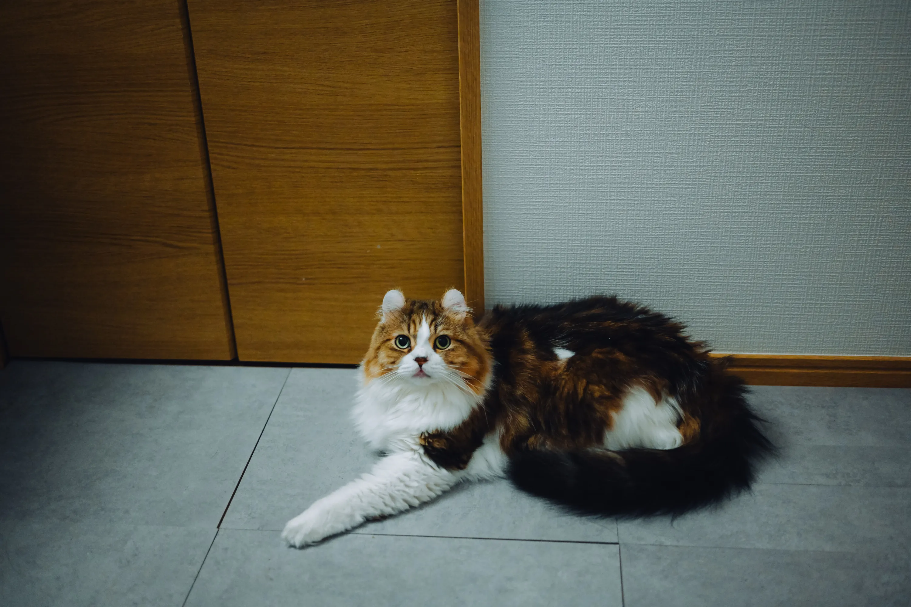2026 — 08 — 20に撮影したあおの写真