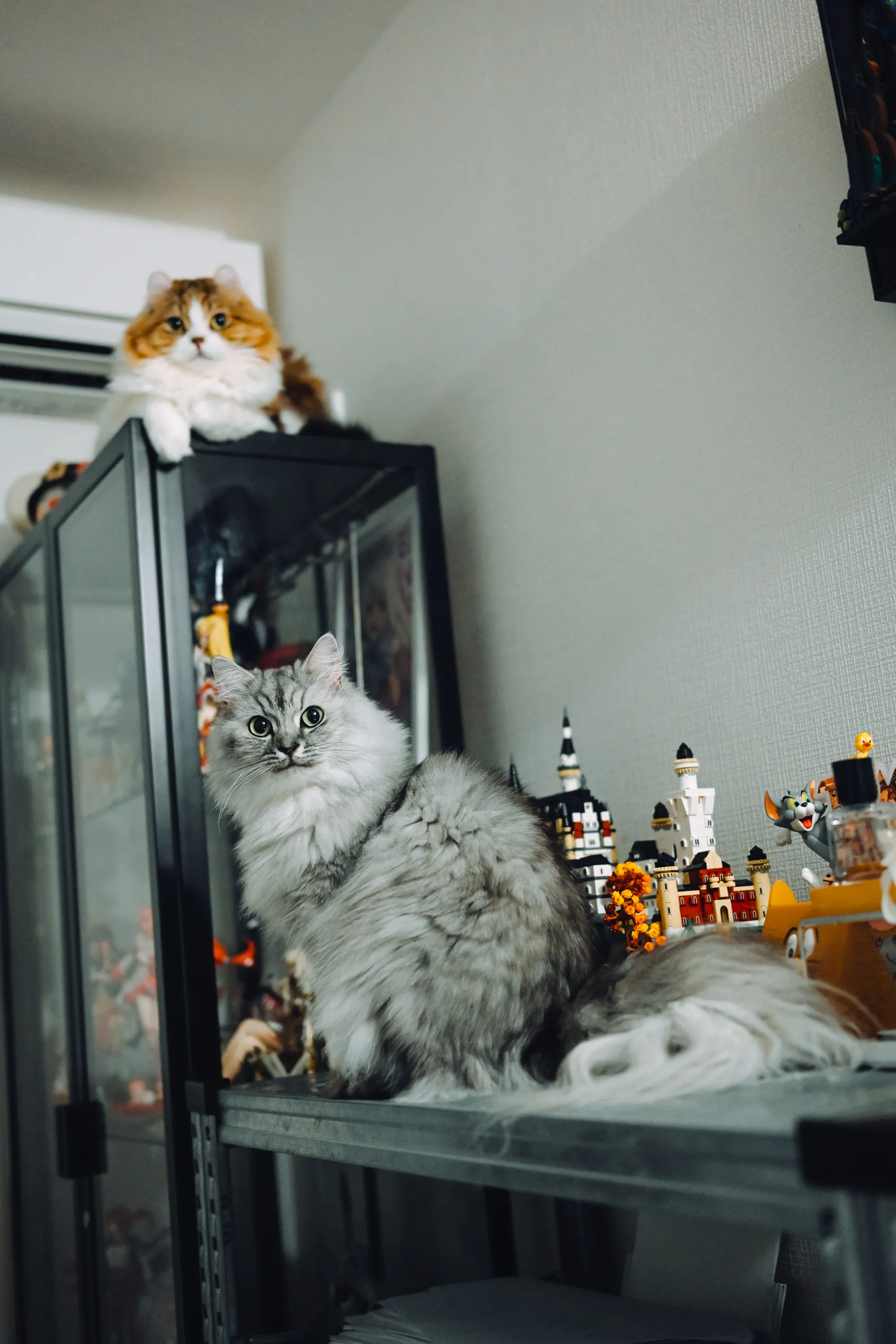 2026 — 08 — 20に撮影したうみとあおの写真