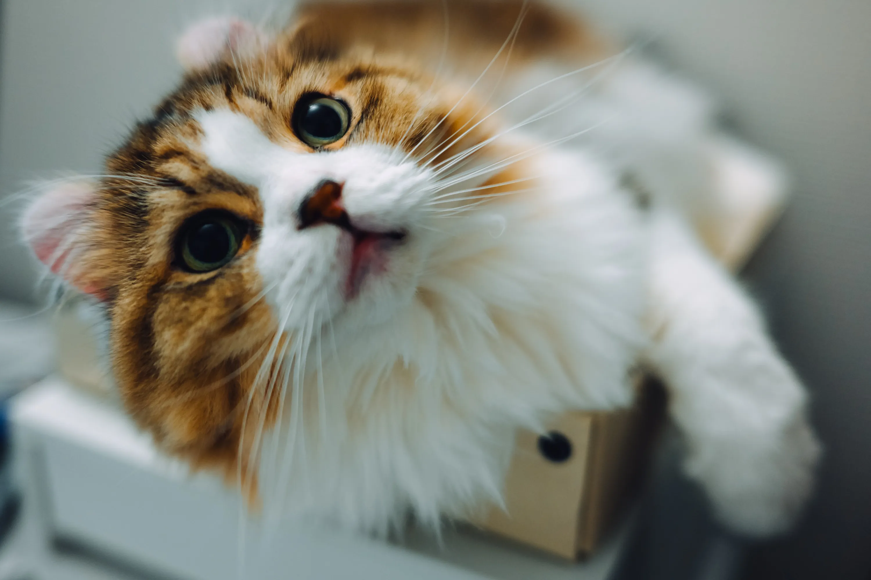 2026 — 08 — 23に撮影したあおの写真
