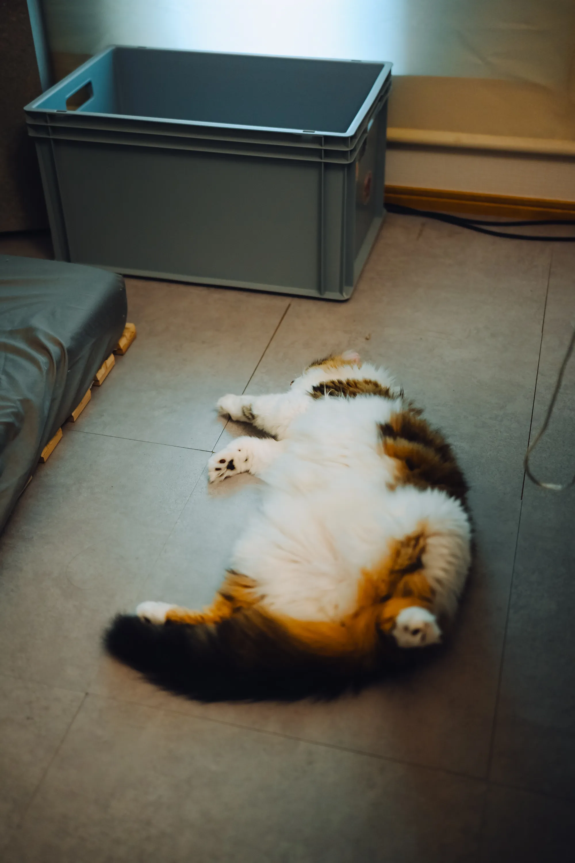 2026 — 08 — 24に撮影したあおの写真