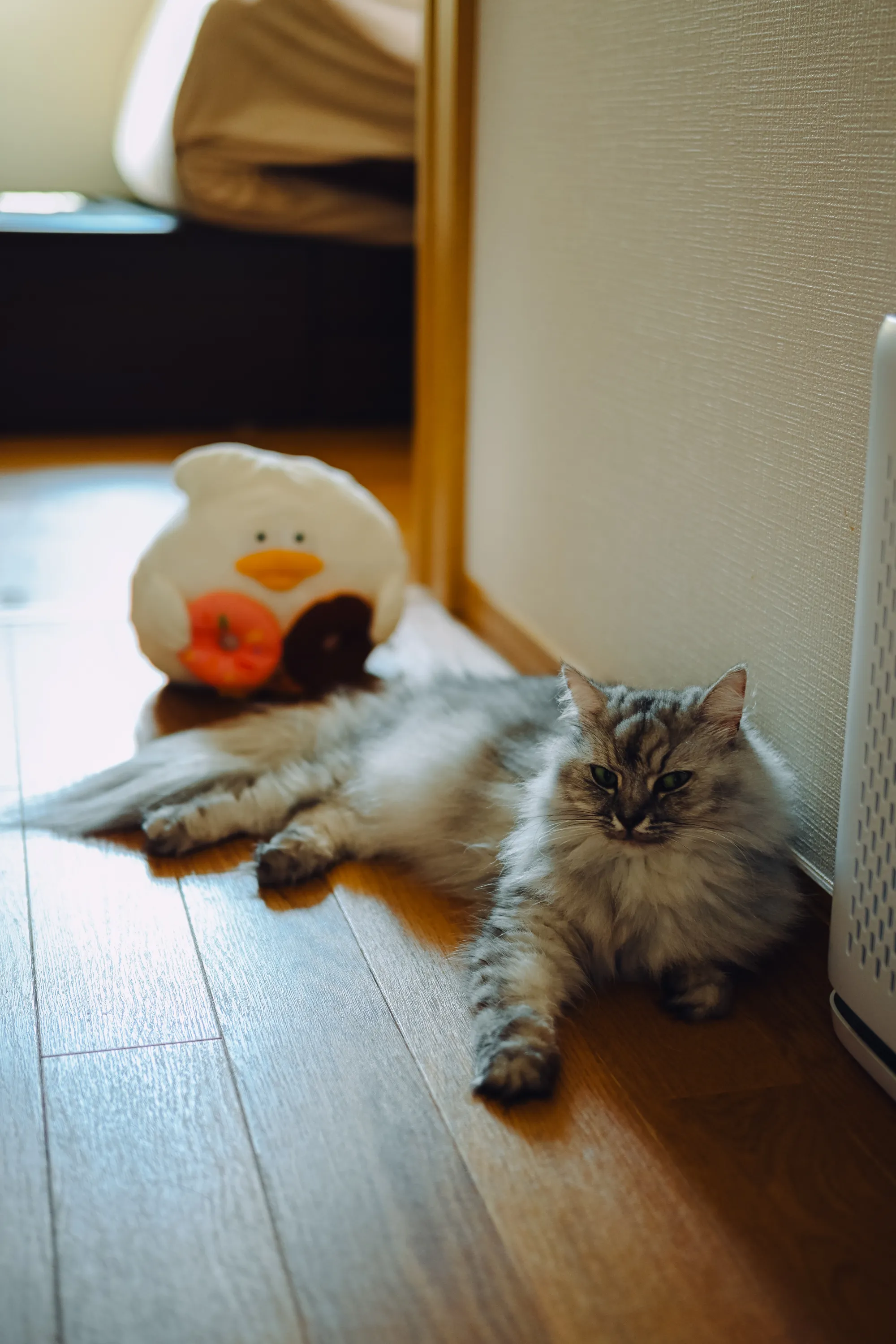 2026 — 08 — 24に撮影したうみの写真