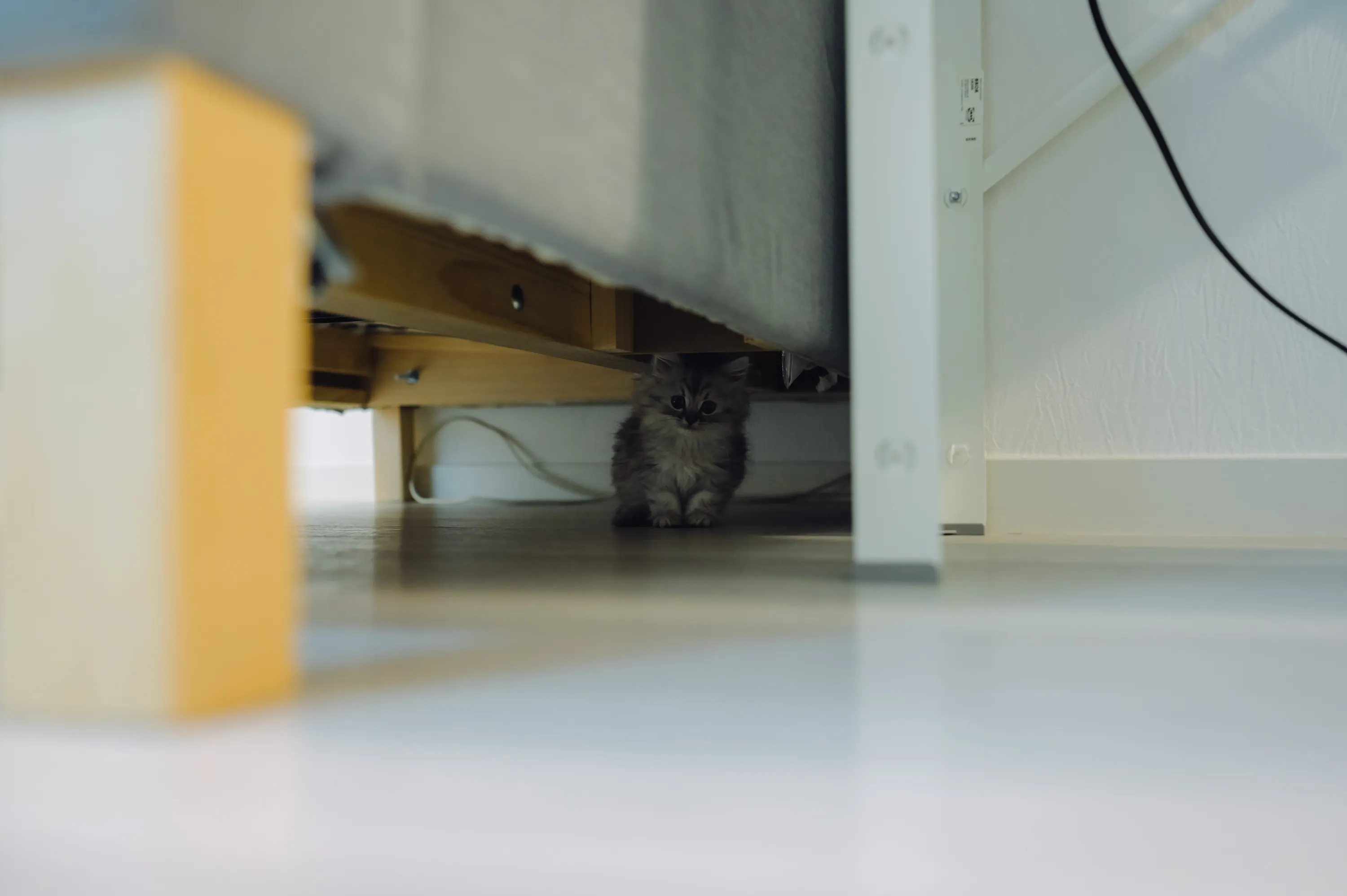2021 — 01 — 30に撮影したうみの写真