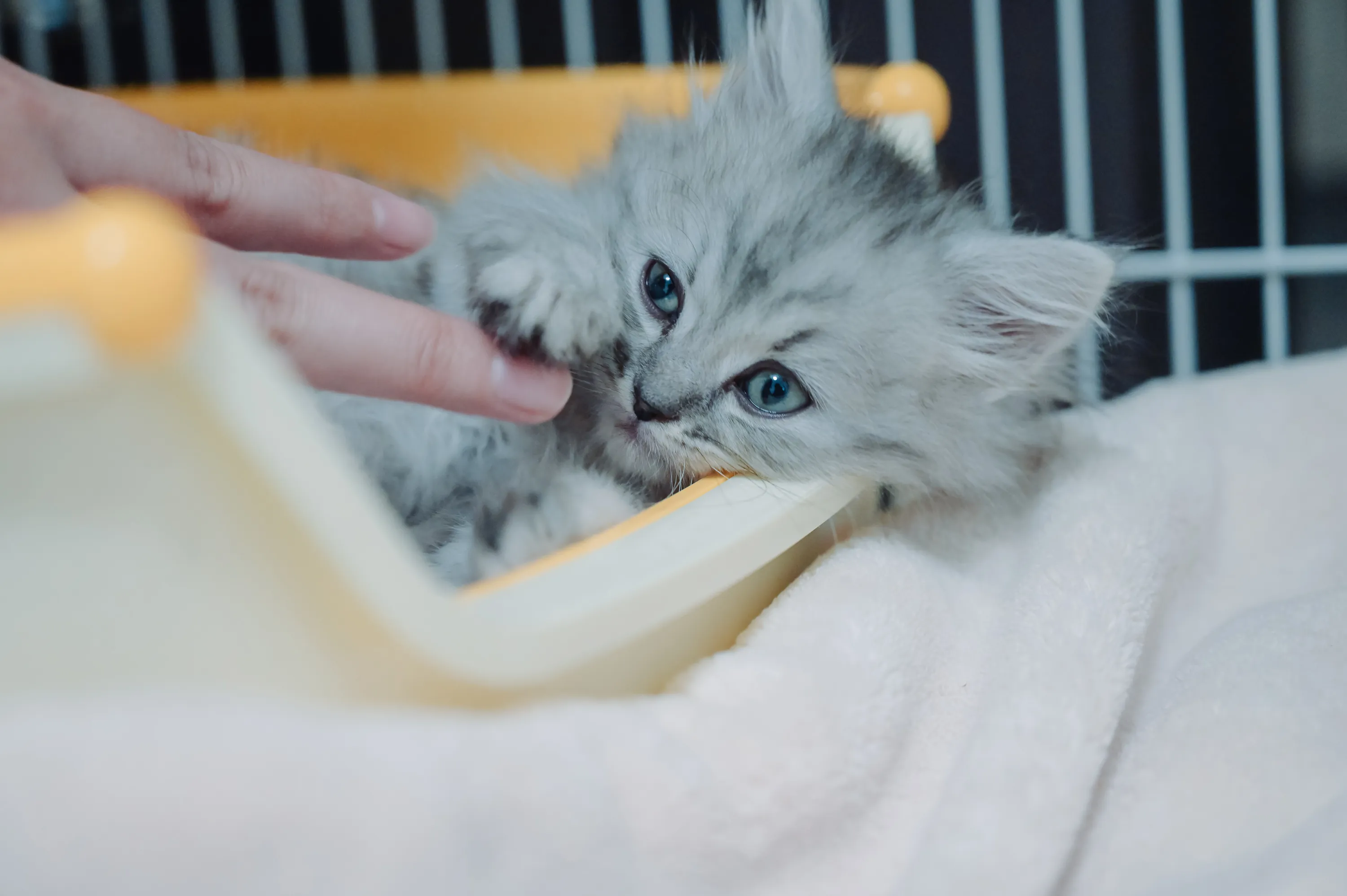 2021 — 01 — 30に撮影したうみの写真