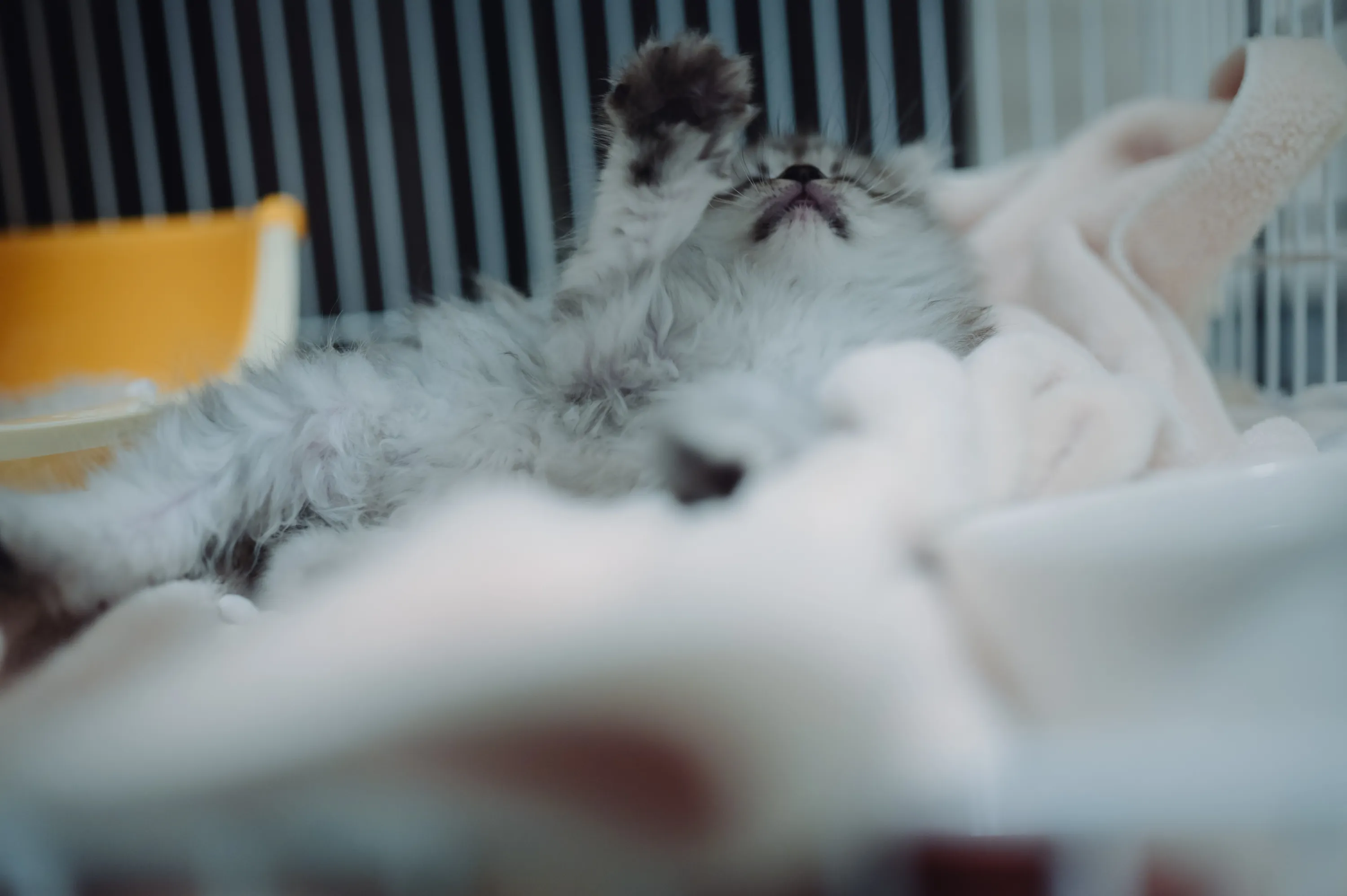 2021 — 01 — 30に撮影したうみとあおの写真