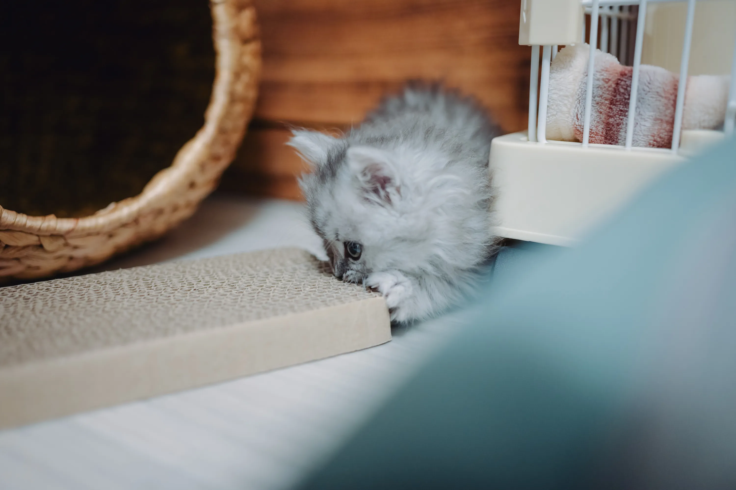 2021 — 01 — 31に撮影したうみの写真