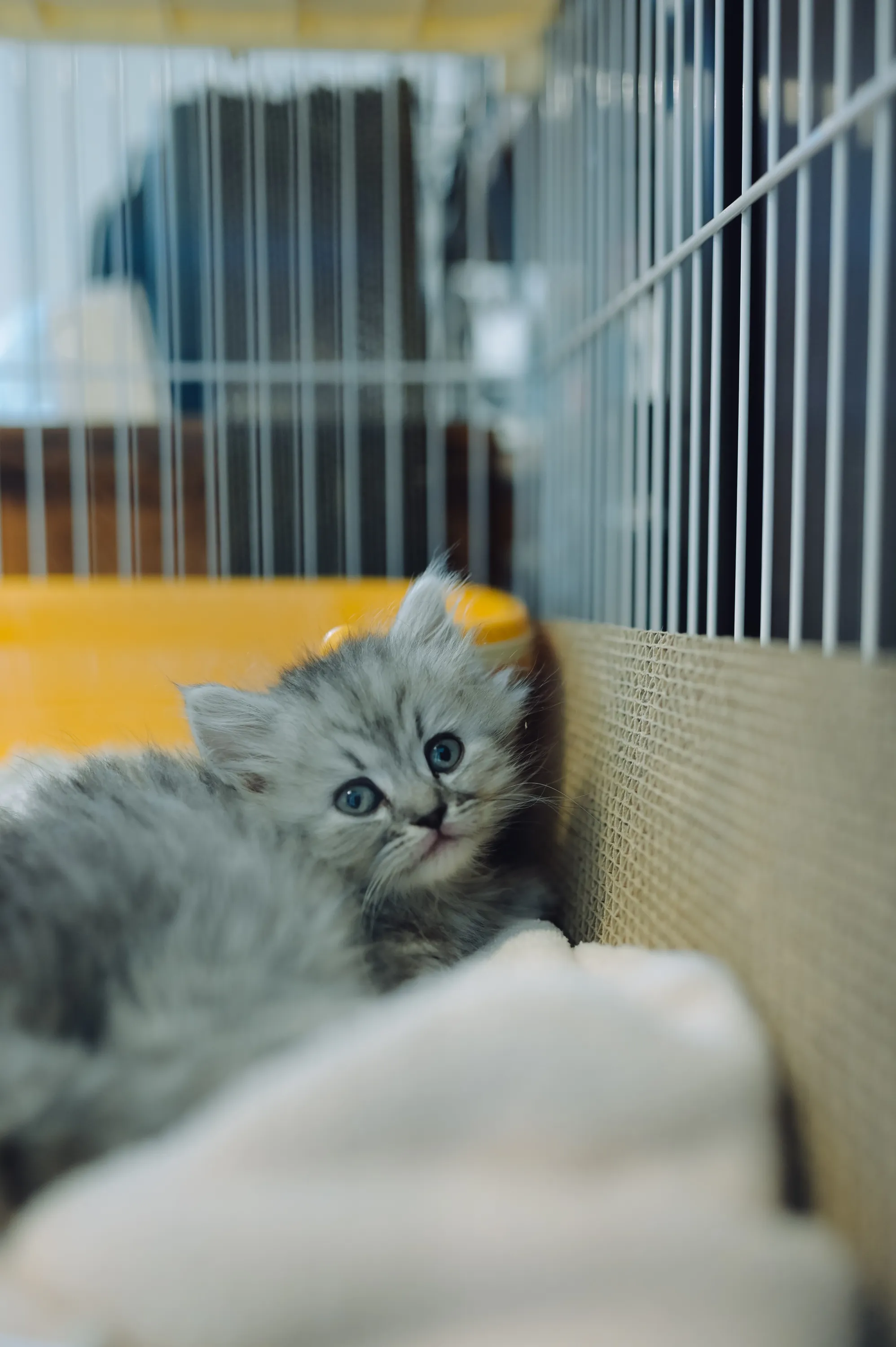 2021 — 01 — 31に撮影したうみの写真